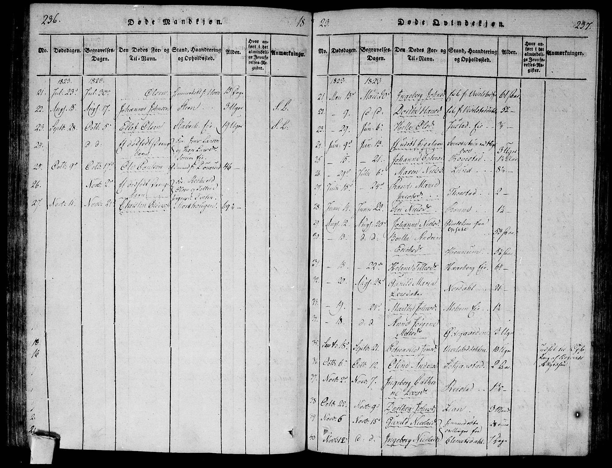 Lier kirkebøker, AV/SAKO-A-230/F/Fa/L0008: Parish register (official) no. I 8, 1813-1825, p. 236-237