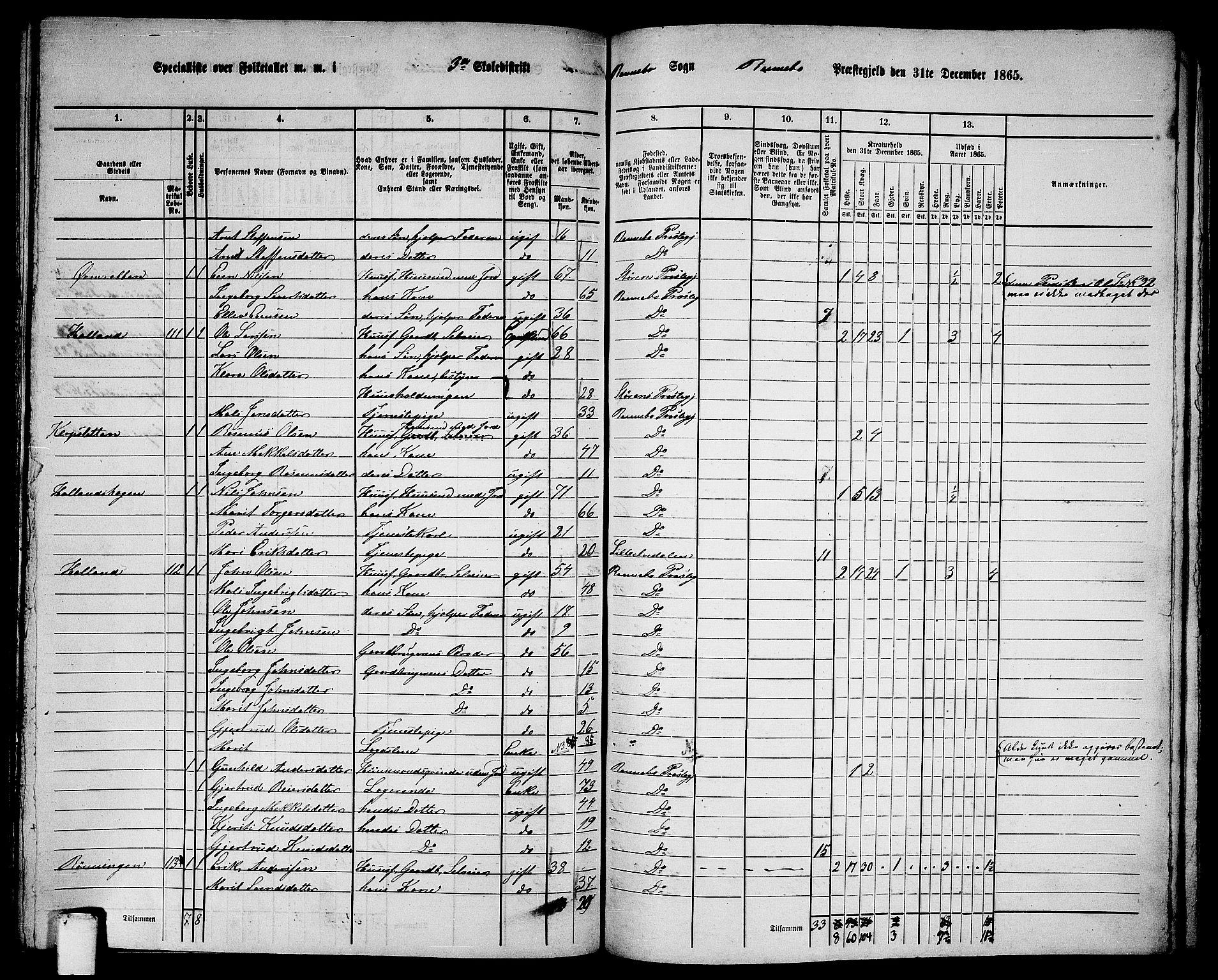 RA, 1865 census for Rennebu, 1865, p. 51