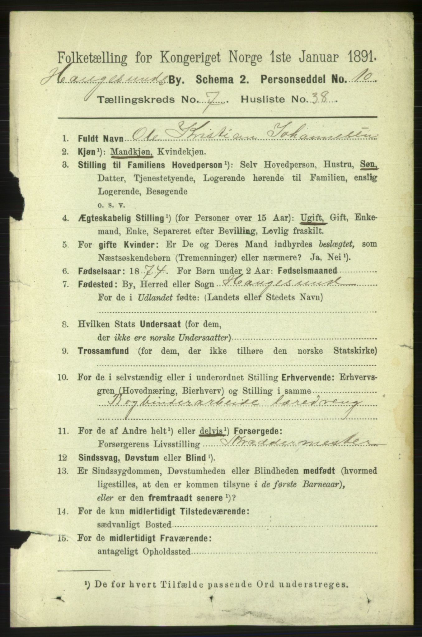 RA, 1891 census for 1106 Haugesund, 1891, p. 3519