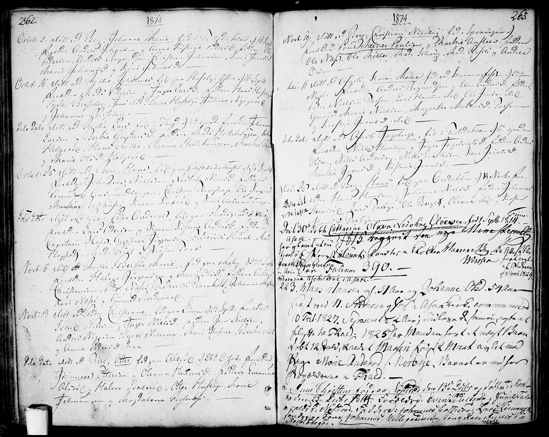 Berg prestekontor Kirkebøker, AV/SAO-A-10902/F/Fa/L0001: Parish register (official) no. I 1, 1770-1814, p. 262-263