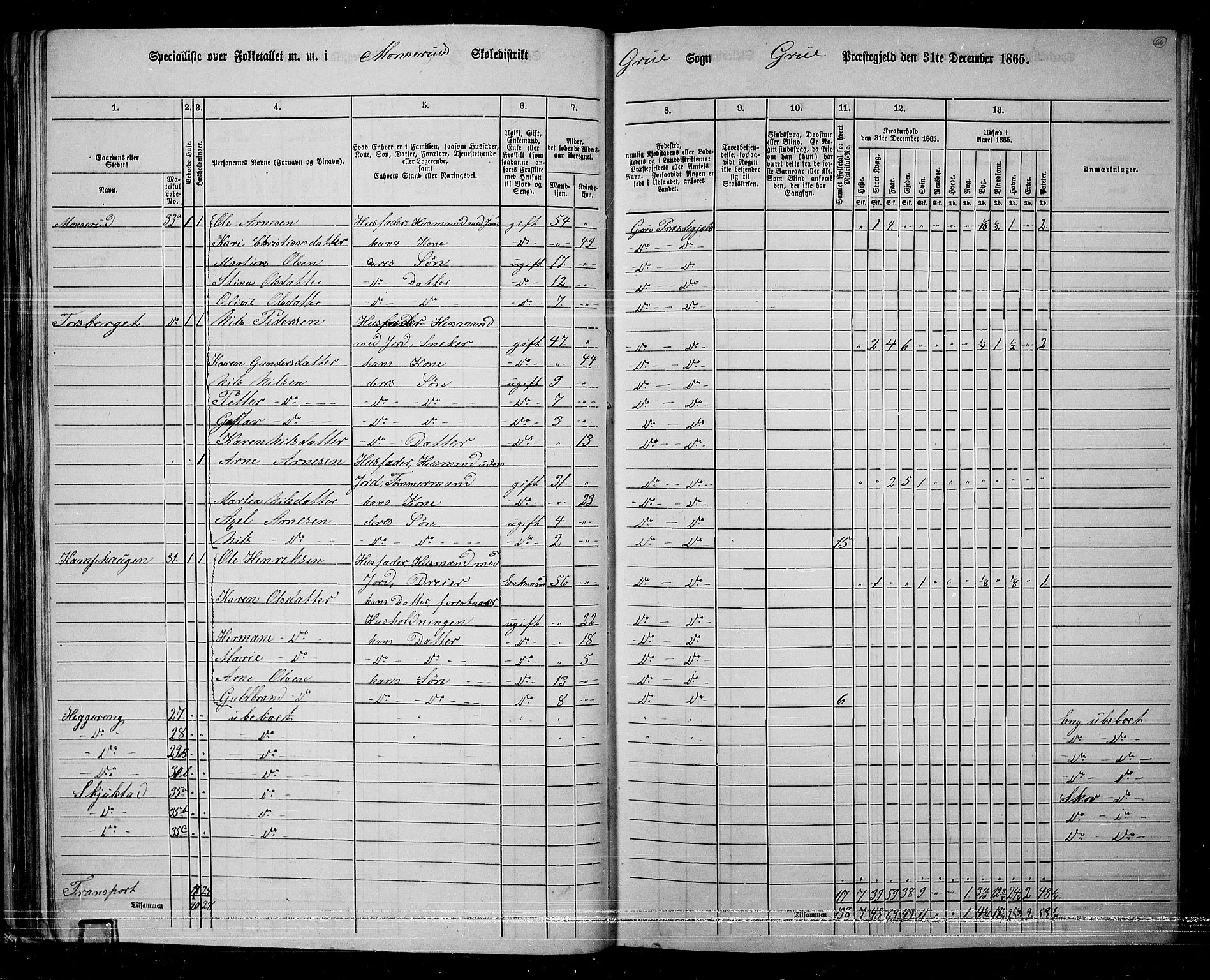 RA, 1865 census for Grue, 1865, p. 62