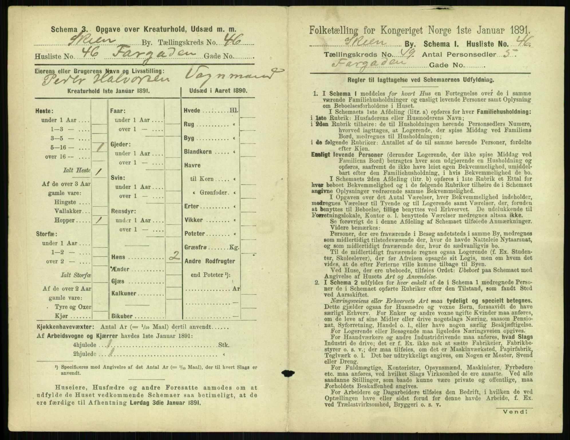 RA, 1891 census for 0806 Skien, 1891, p. 1976