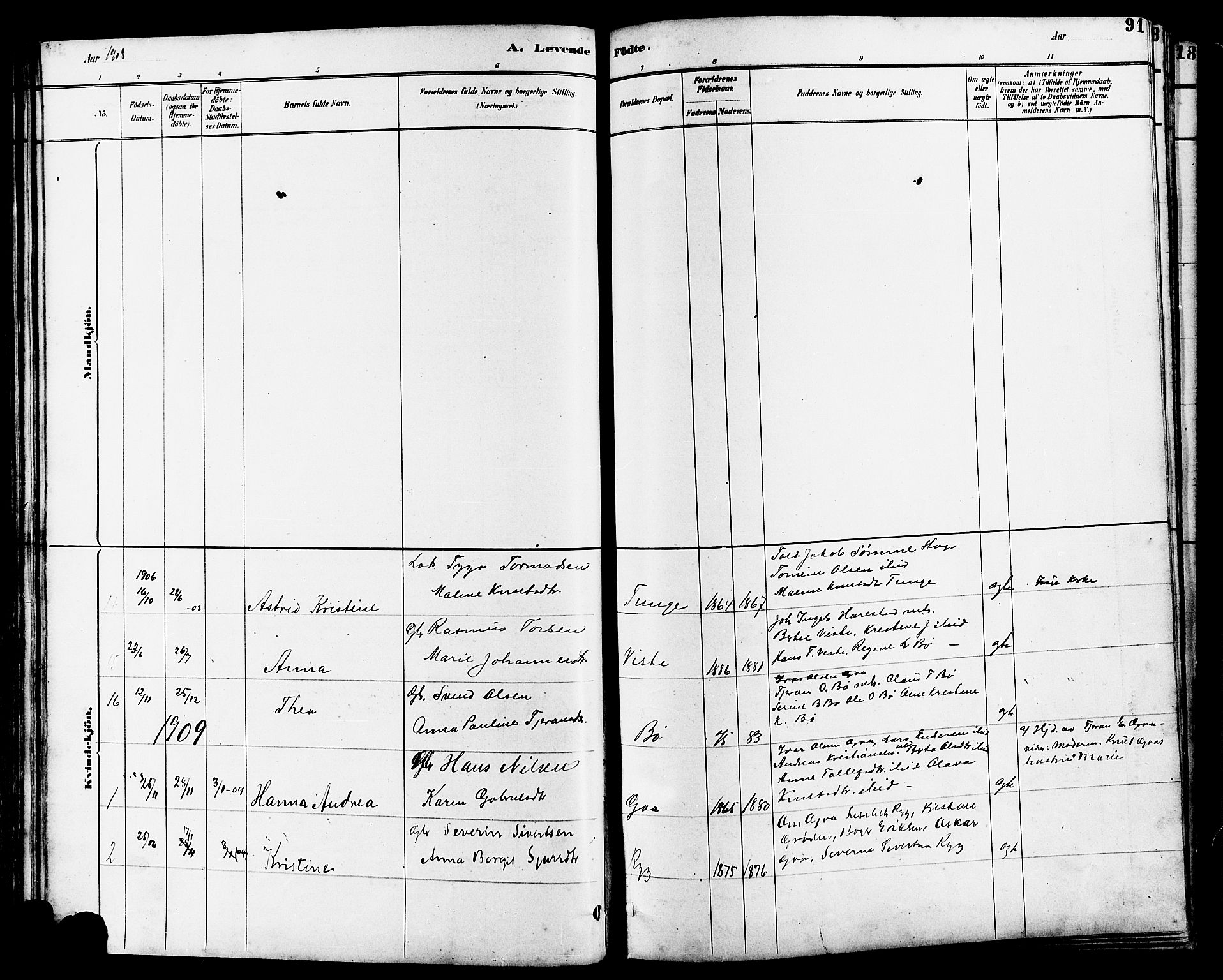 Hetland sokneprestkontor, SAST/A-101826/30/30BB/L0006: Parish register (copy) no. B 6, 1878-1921, p. 91