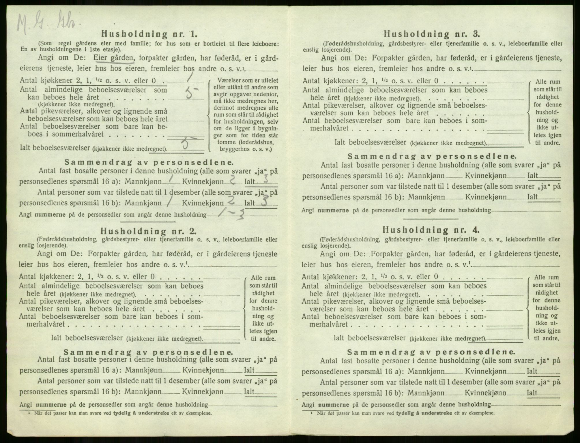 SAKO, 1920 census for Borre, 1920, p. 1365
