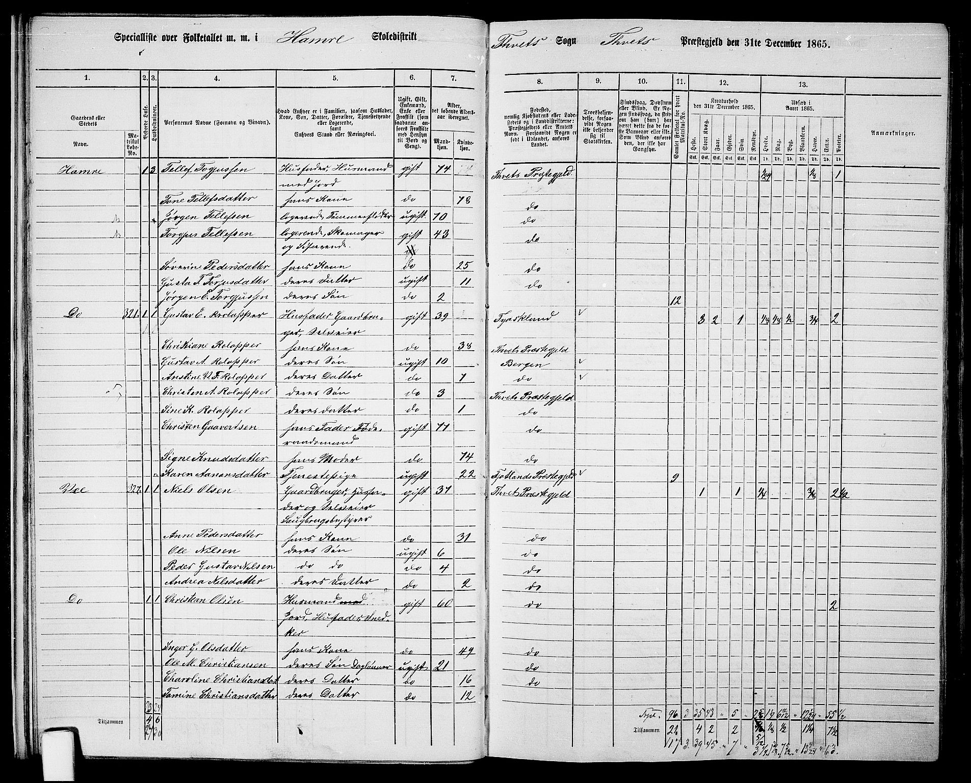 RA, 1865 census for Tveit, 1865, p. 21