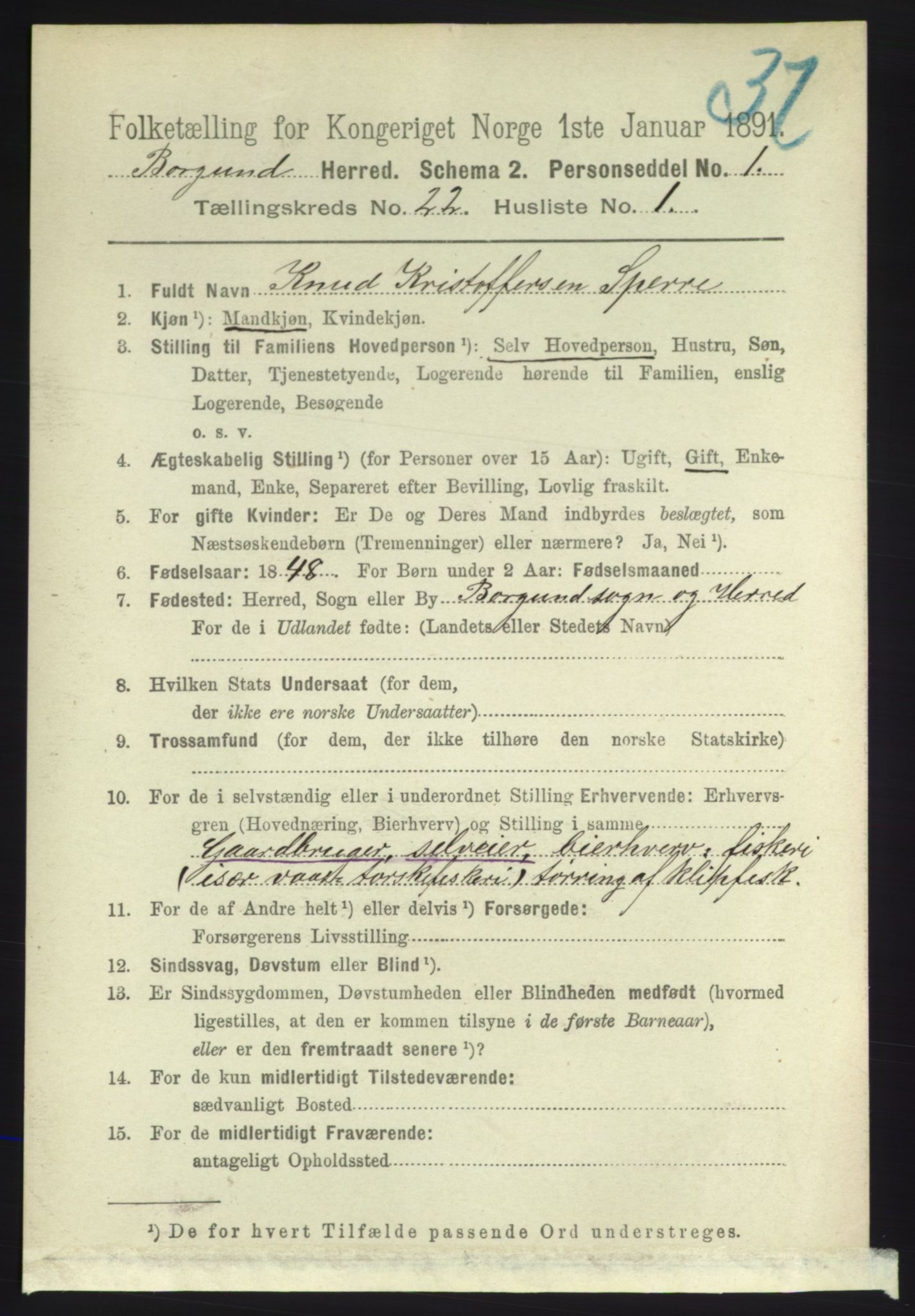 RA, 1891 census for 1531 Borgund, 1891, p. 6641