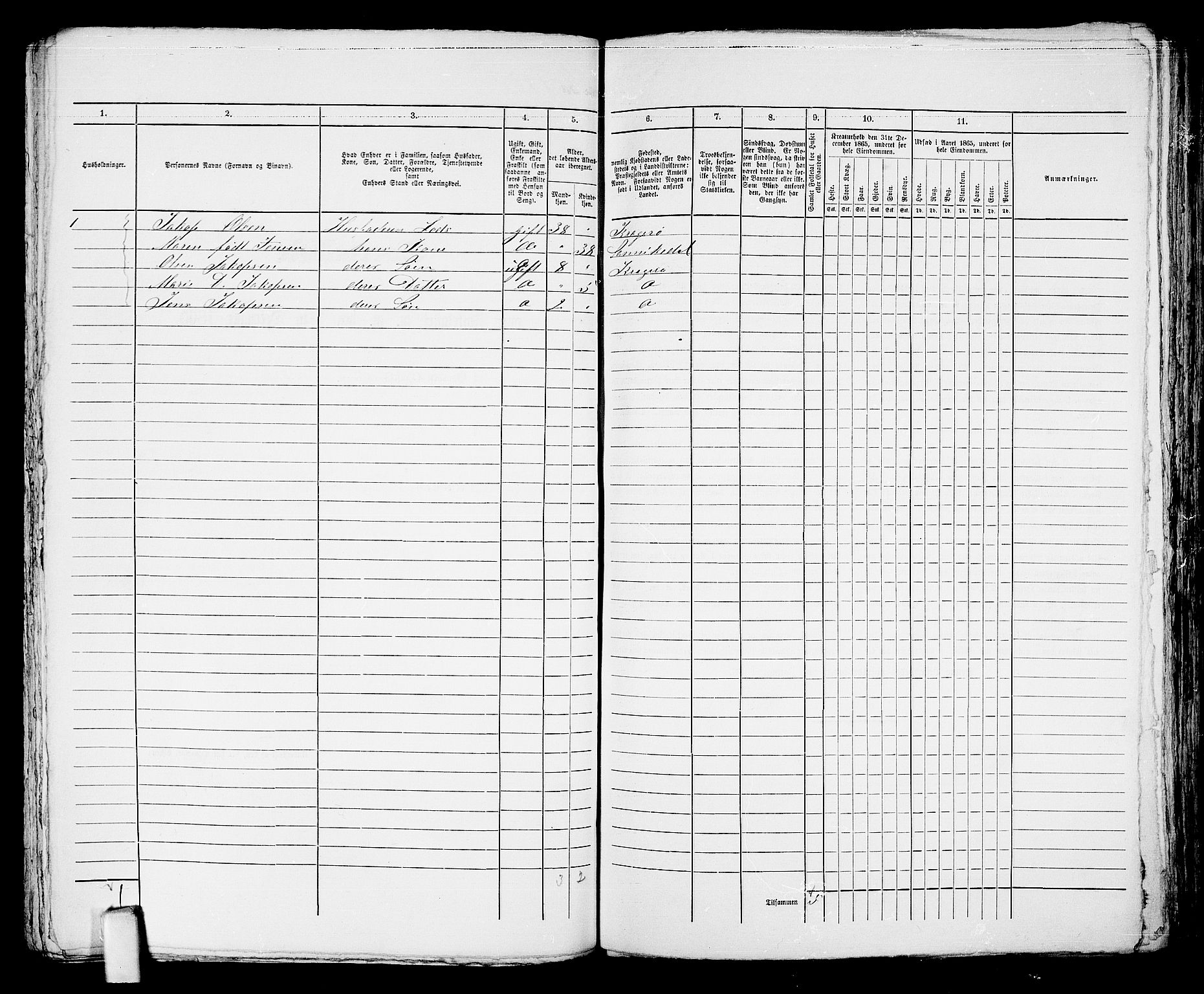 RA, 1865 census for Kragerø/Kragerø, 1865, p. 363