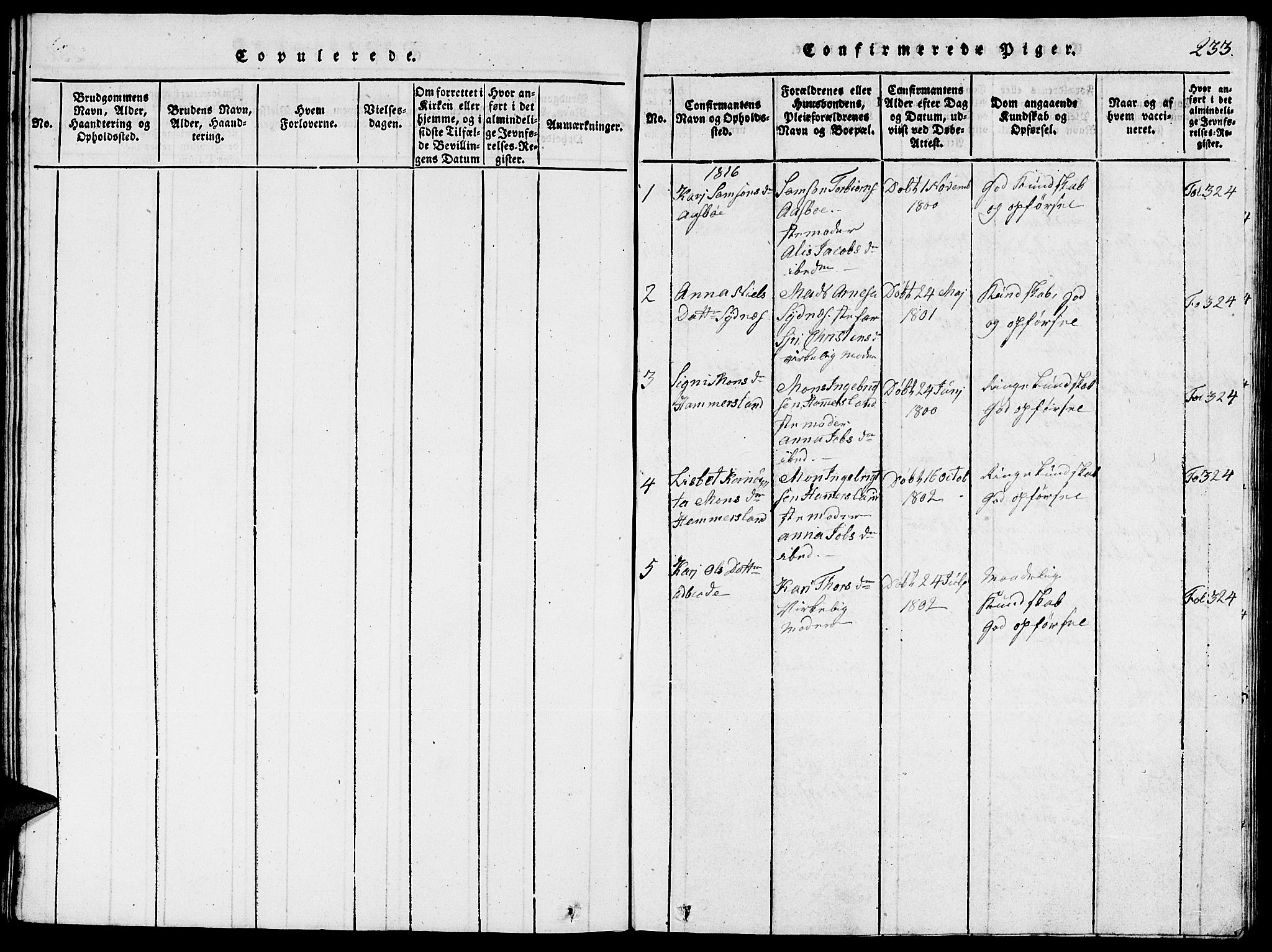 Fjelberg sokneprestembete, SAB/A-75201/H/Hab: Parish register (copy) no. A 1, 1816-1823, p. 233