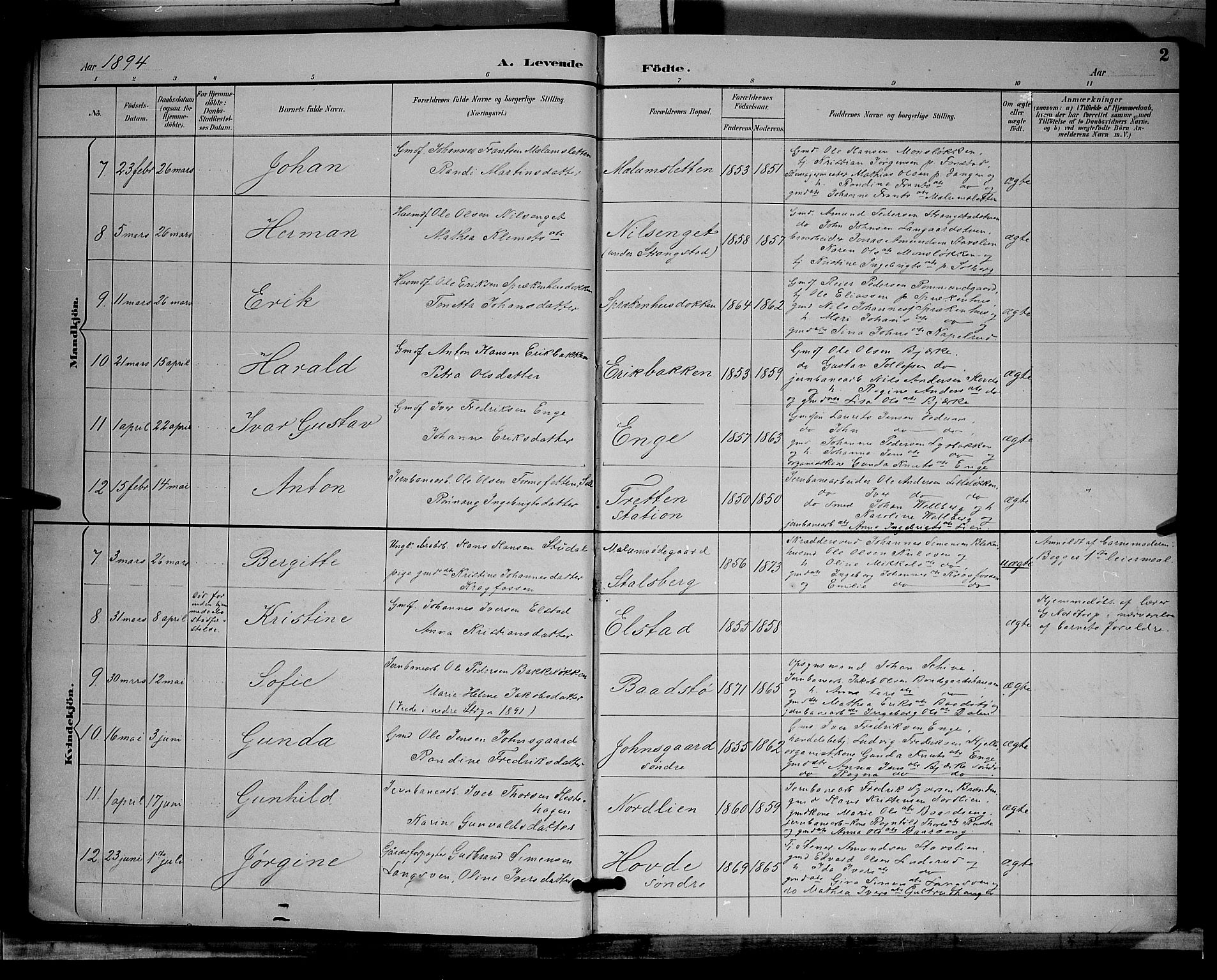 Øyer prestekontor, SAH/PREST-084/H/Ha/Hab/L0004: Parish register (copy) no. 4, 1894-1905, p. 2