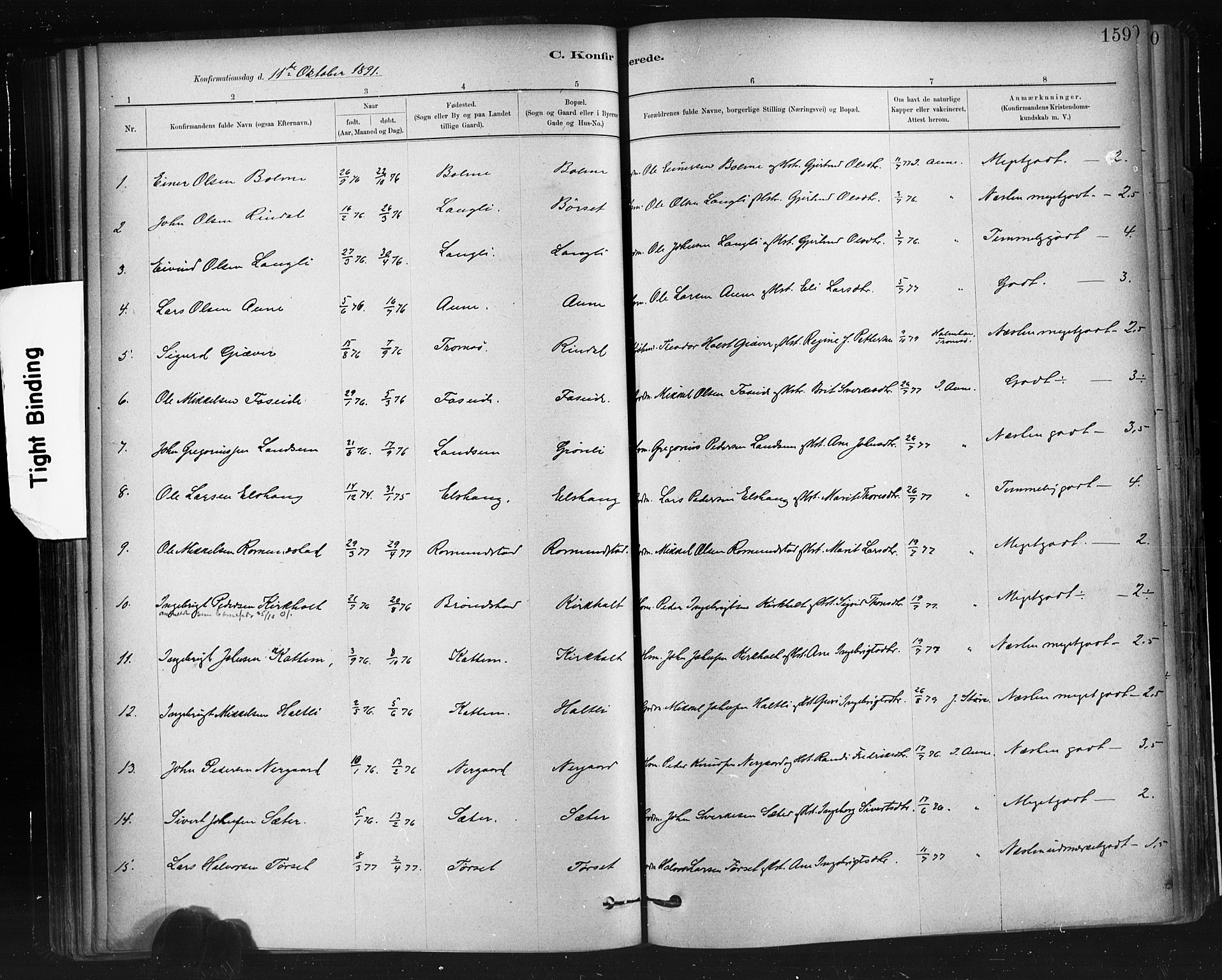 Ministerialprotokoller, klokkerbøker og fødselsregistre - Møre og Romsdal, AV/SAT-A-1454/598/L1069: Parish register (official) no. 598A03, 1882-1895, p. 159