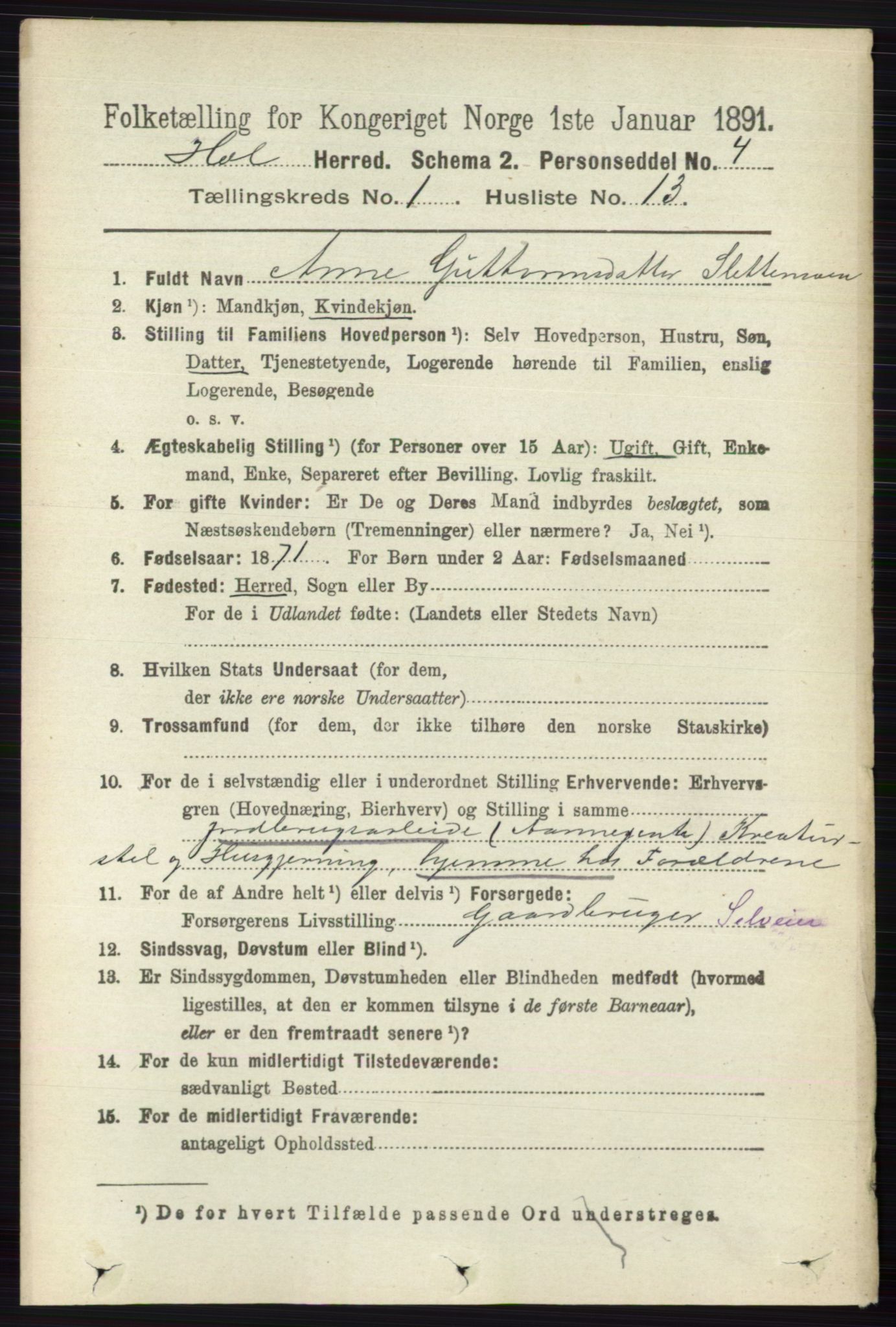 RA, 1891 census for 0620 Hol, 1891, p. 134