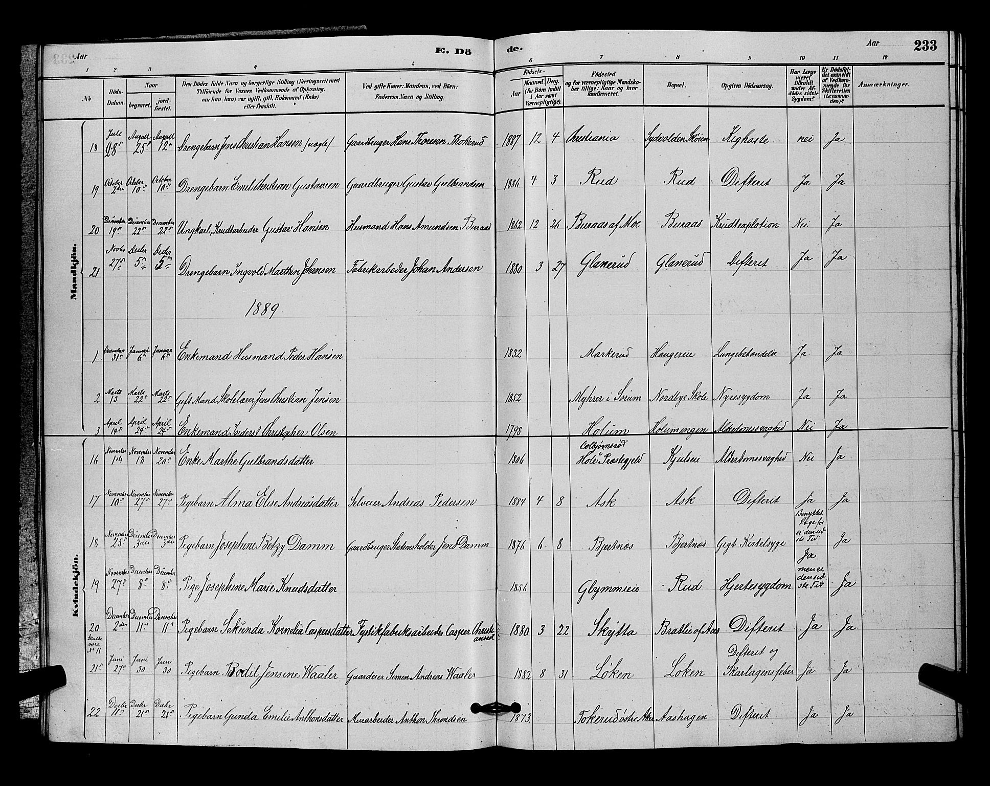 Nittedal prestekontor Kirkebøker, SAO/A-10365a/G/Ga/L0002: Parish register (copy) no. I 2, 1879-1901, p. 233