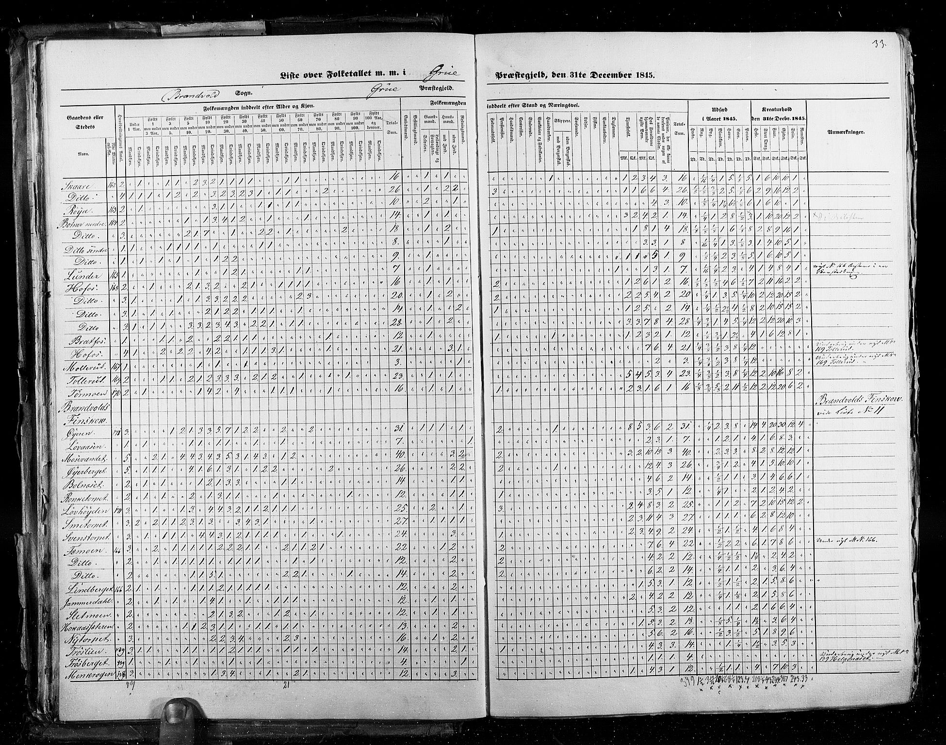 RA, Census 1845, vol. 3: Hedemarken amt og Kristians amt, 1845, p. 33