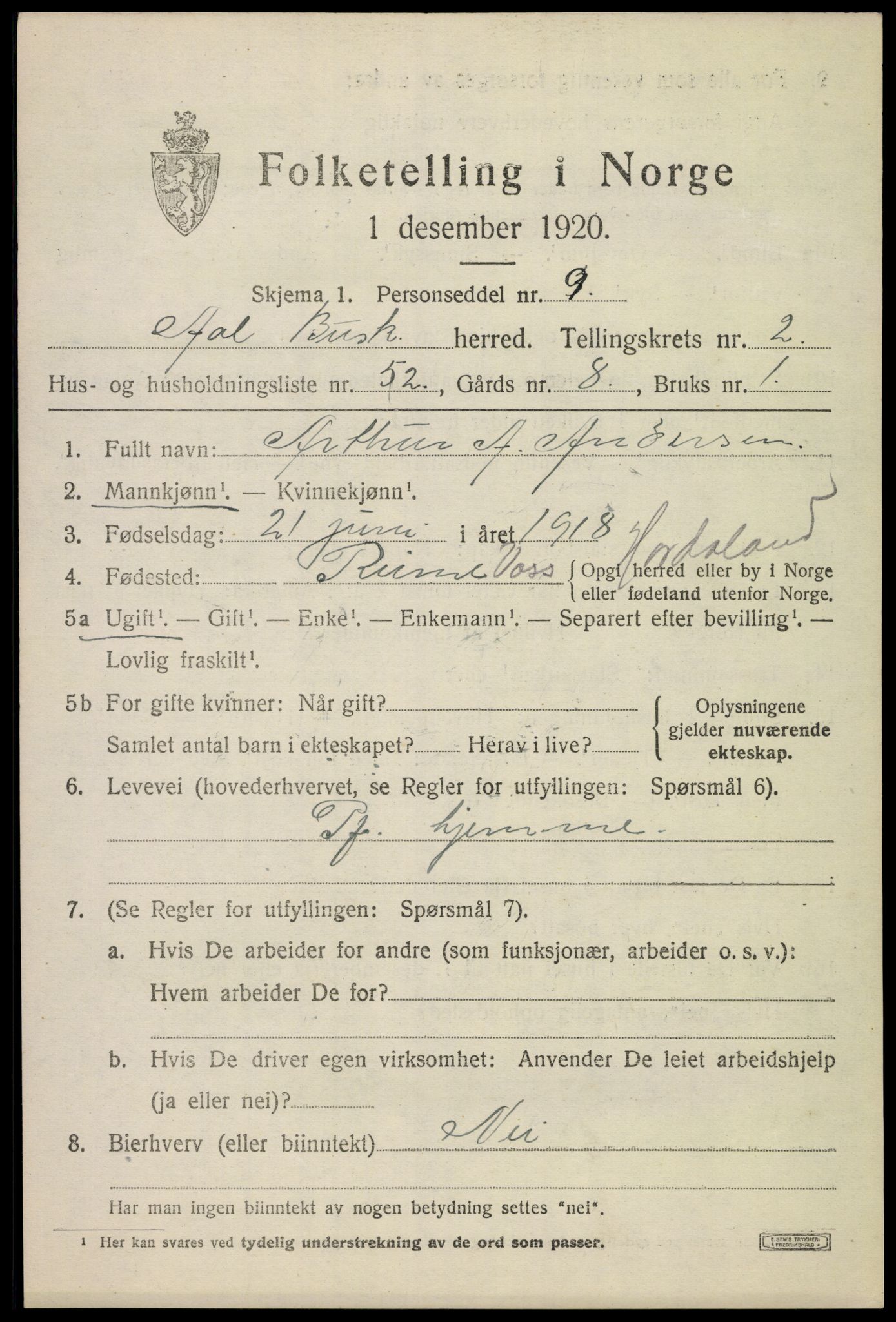 SAKO, 1920 census for Ål, 1920, p. 2366