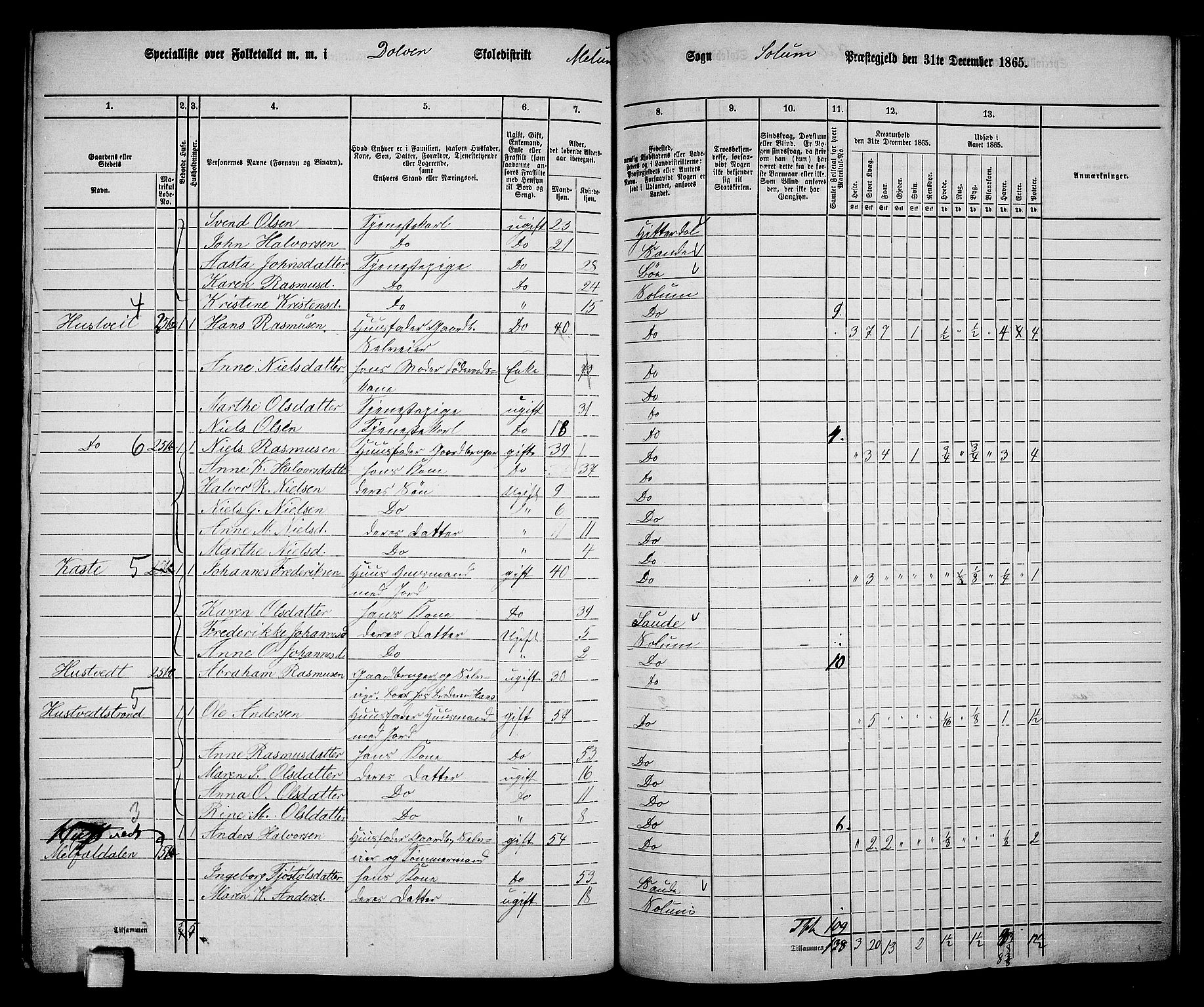 RA, 1865 census for Solum, 1865, p. 197