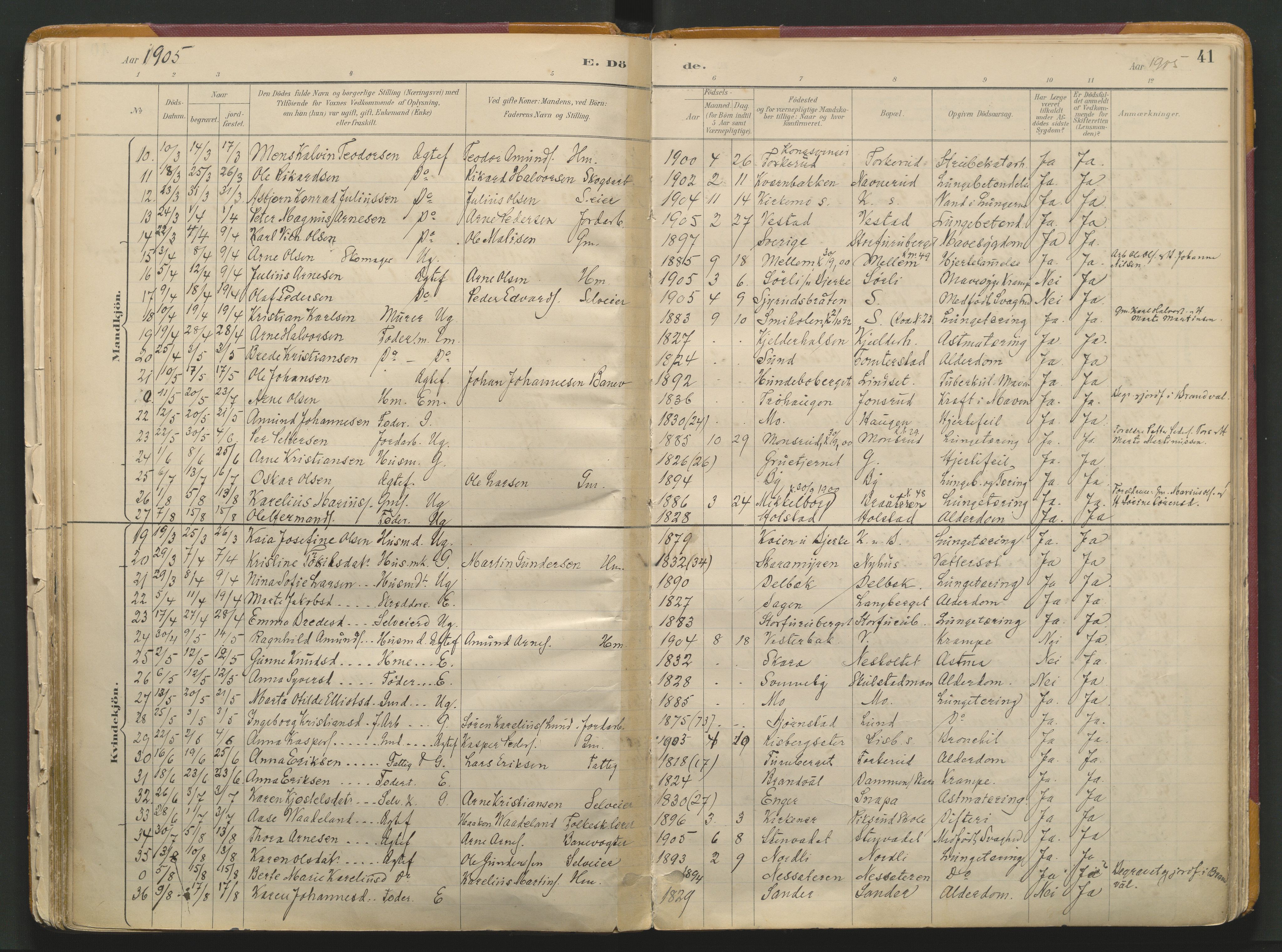 Grue prestekontor, AV/SAH-PREST-036/H/Ha/Haa/L0017: Parish register (official) no. 17, 1892-1936, p. 41