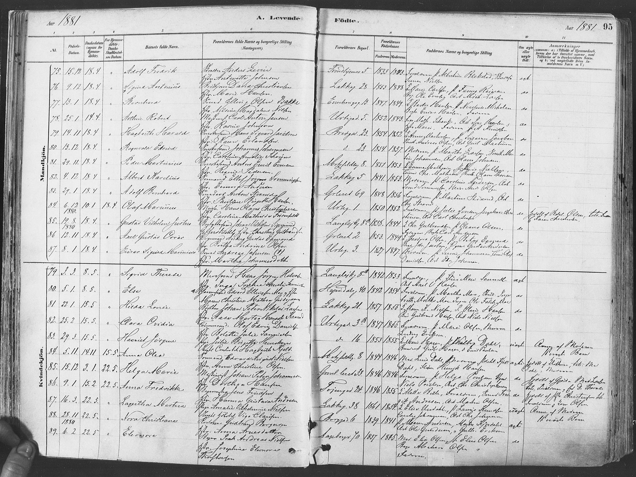 Grønland prestekontor Kirkebøker, SAO/A-10848/F/Fa/L0007: Parish register (official) no. 7, 1878-1888, p. 95