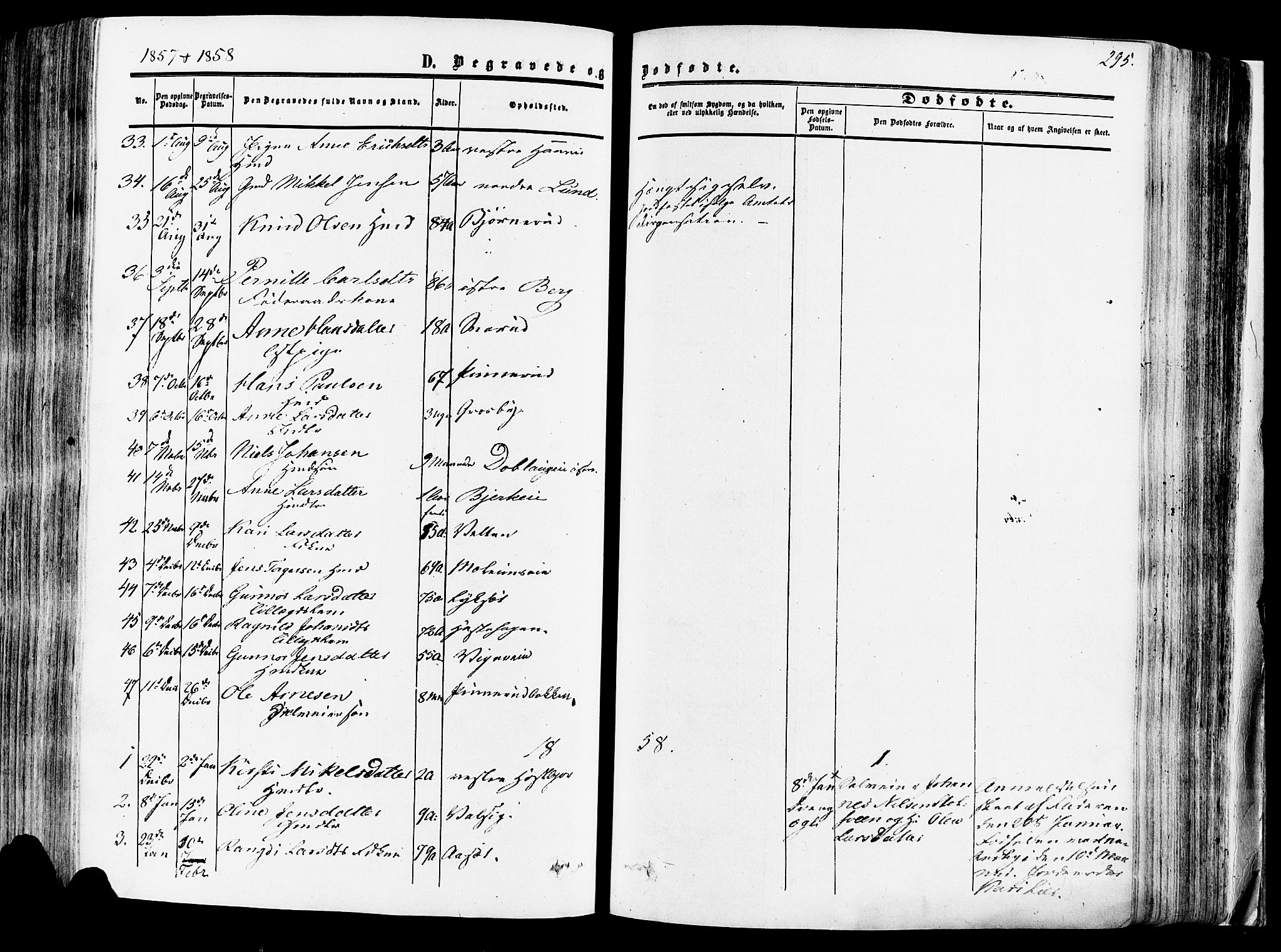 Vang prestekontor, Hedmark, SAH/PREST-008/H/Ha/Haa/L0013: Parish register (official) no. 13, 1855-1879, p. 295