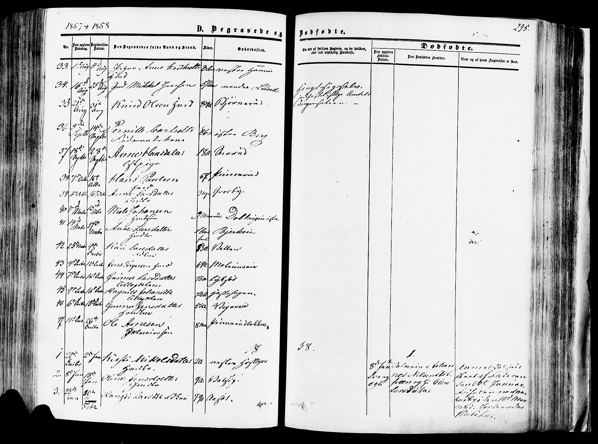Vang prestekontor, Hedmark, AV/SAH-PREST-008/H/Ha/Haa/L0013: Parish register (official) no. 13, 1855-1879, p. 295