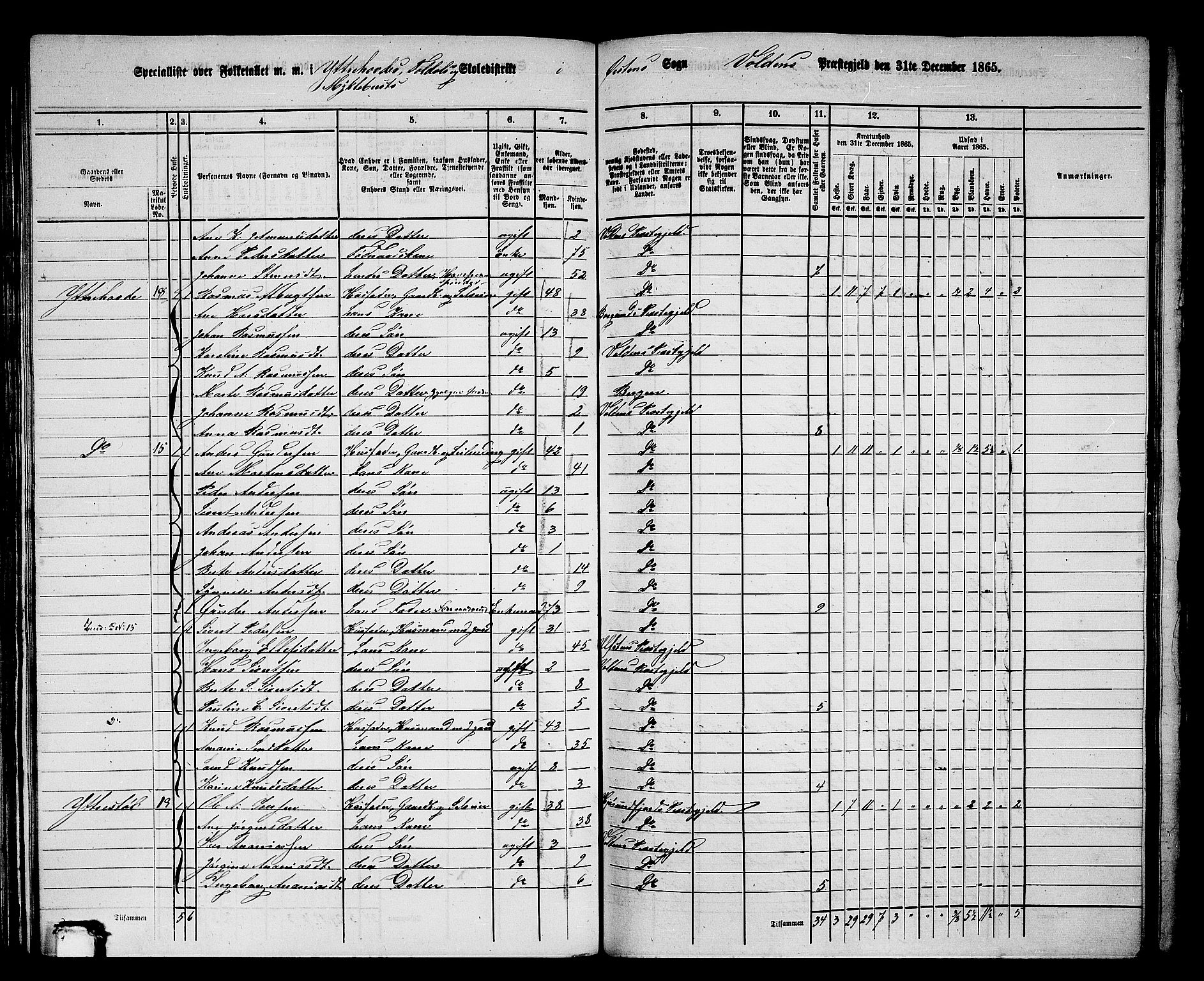 RA, 1865 census for Volda, 1865, p. 97