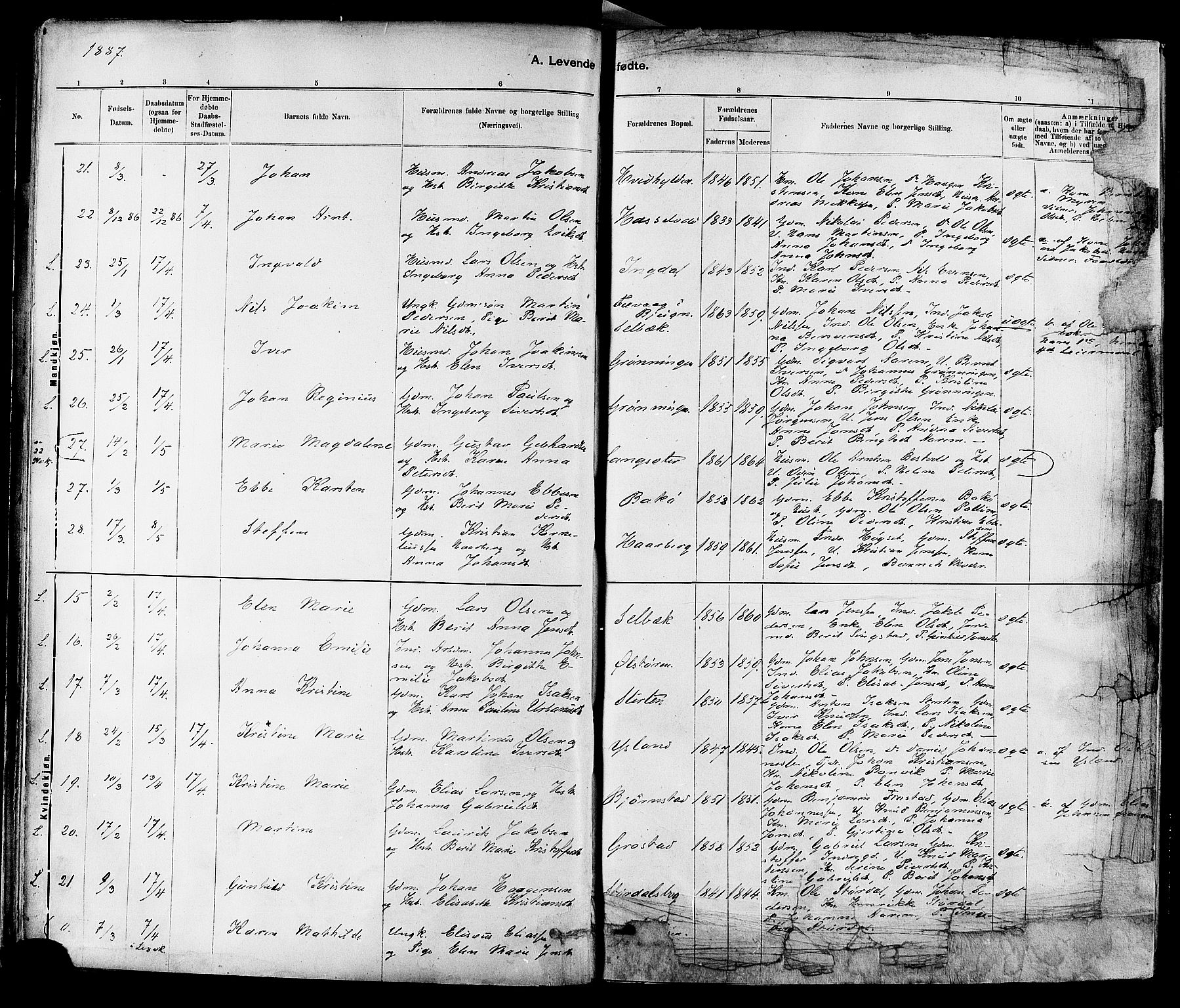 Ministerialprotokoller, klokkerbøker og fødselsregistre - Sør-Trøndelag, SAT/A-1456/647/L0634: Parish register (official) no. 647A01, 1885-1896, p. 17