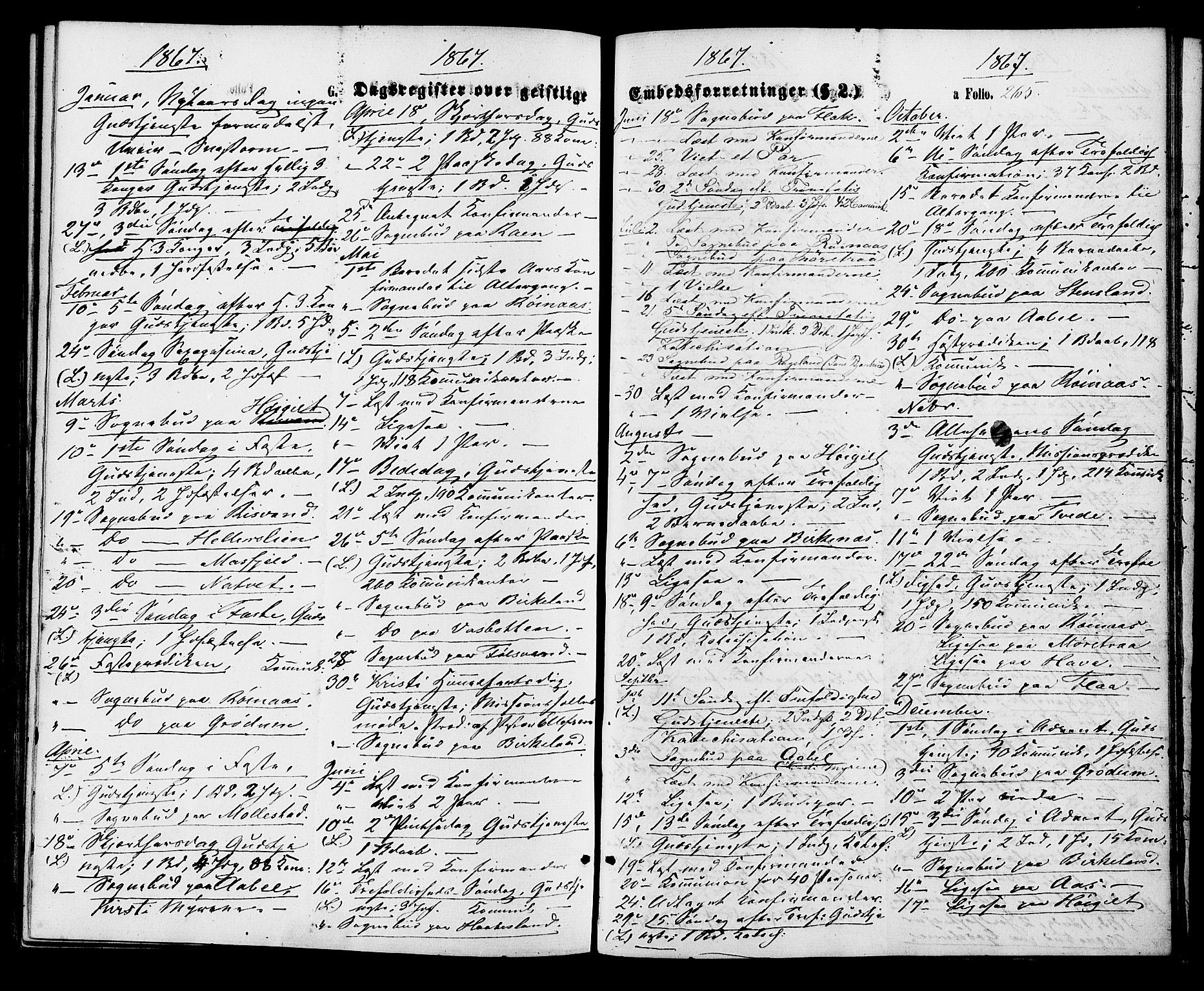 Birkenes sokneprestkontor, SAK/1111-0004/F/Fa/L0004: Parish register (official) no. A 4, 1867-1886, p. 265