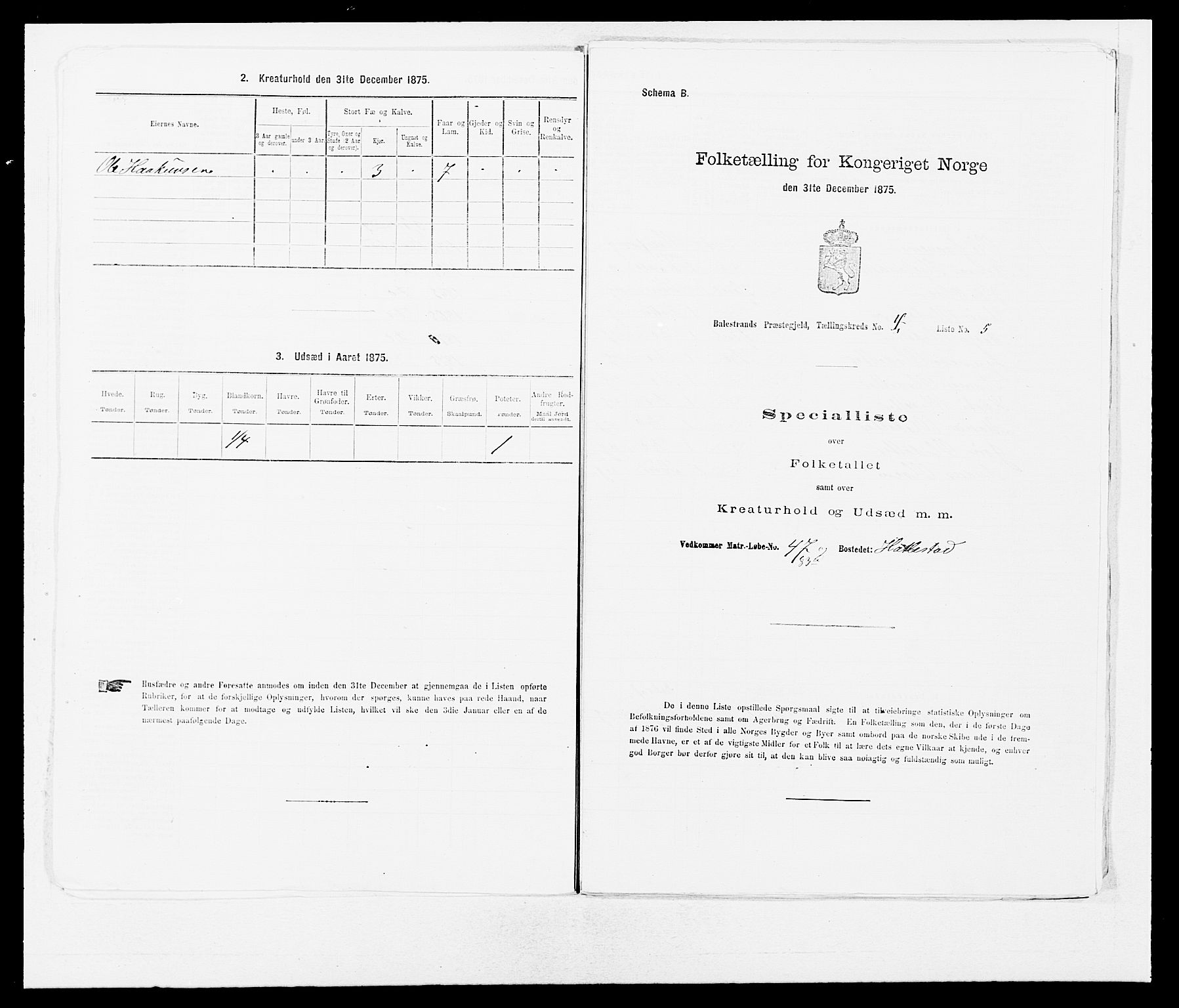 SAB, 1875 census for 1418P Balestrand, 1875, p. 462