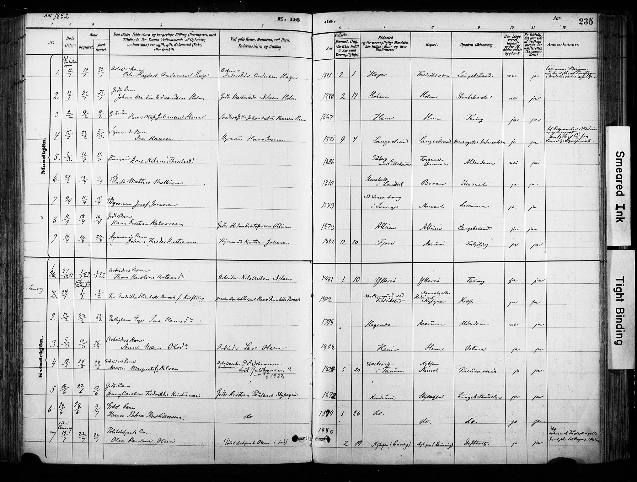 Hedrum kirkebøker, SAKO/A-344/F/Fa/L0009: Parish register (official) no. I 9, 1881-1903, p. 235