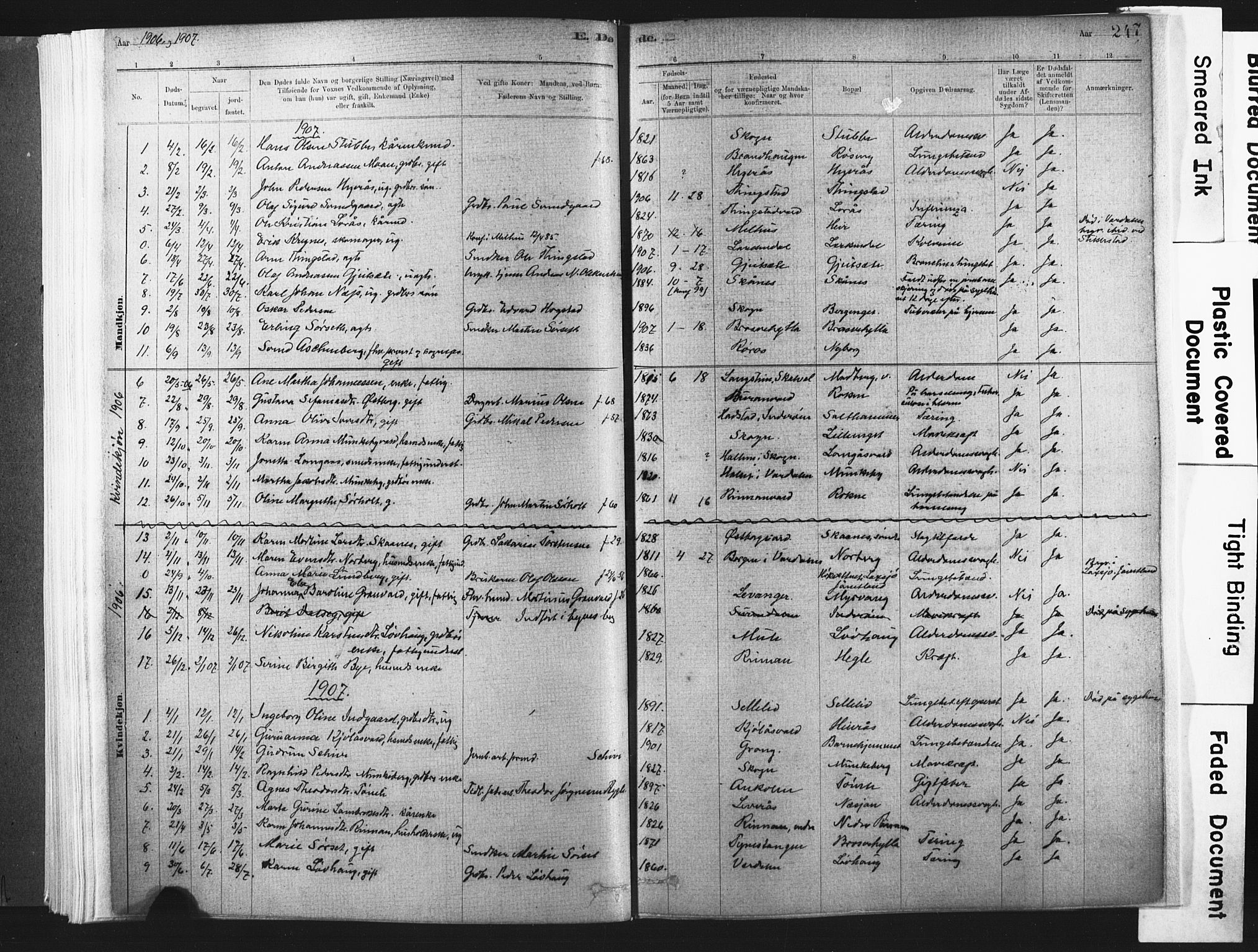 Ministerialprotokoller, klokkerbøker og fødselsregistre - Nord-Trøndelag, SAT/A-1458/721/L0207: Parish register (official) no. 721A02, 1880-1911, p. 247