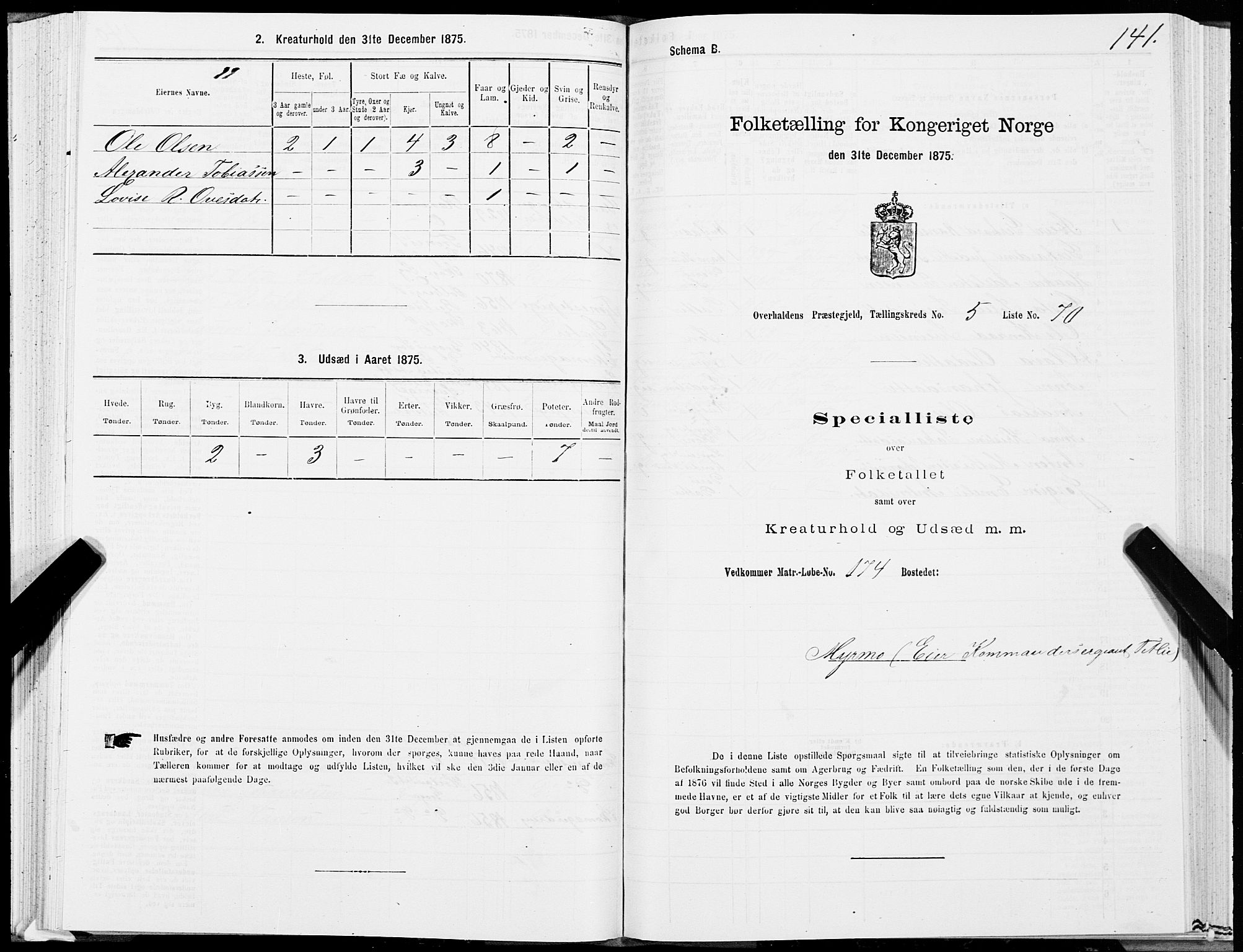 SAT, 1875 census for 1744P Overhalla, 1875, p. 3141