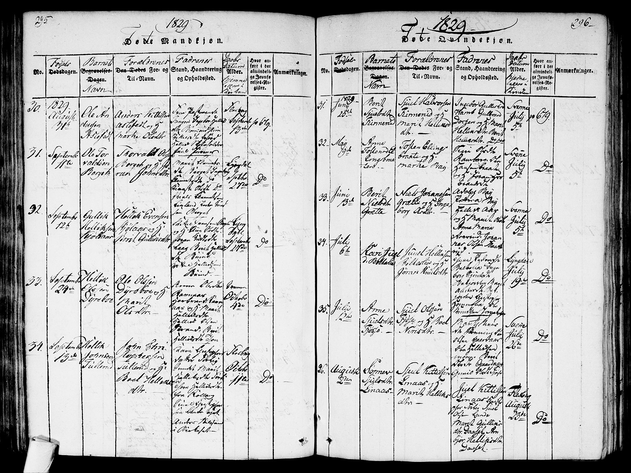 Flesberg kirkebøker, AV/SAKO-A-18/G/Ga/L0001: Parish register (copy) no. I 1, 1816-1834, p. 295-296