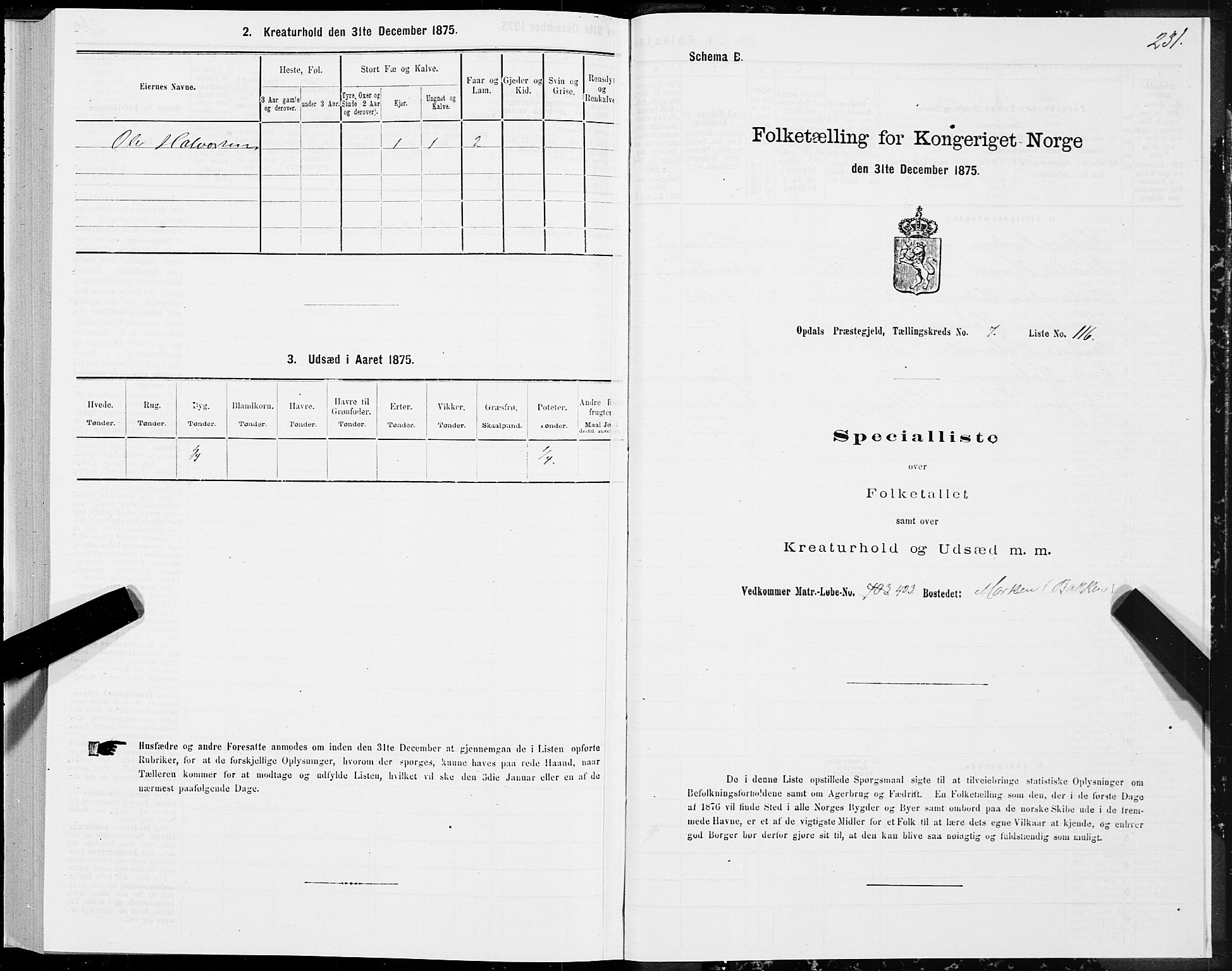 SAT, 1875 census for 1634P Oppdal, 1875, p. 4231