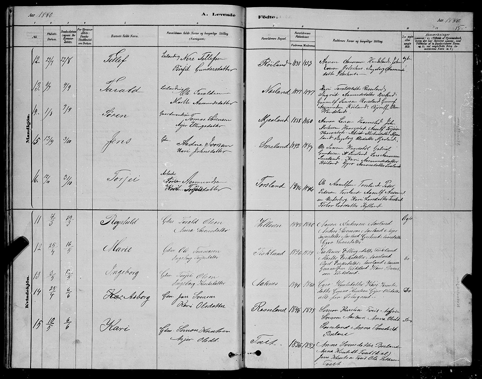 Åseral sokneprestkontor, AV/SAK-1111-0051/F/Fb/L0002: Parish register (copy) no. B 2, 1878-1899, p. 15