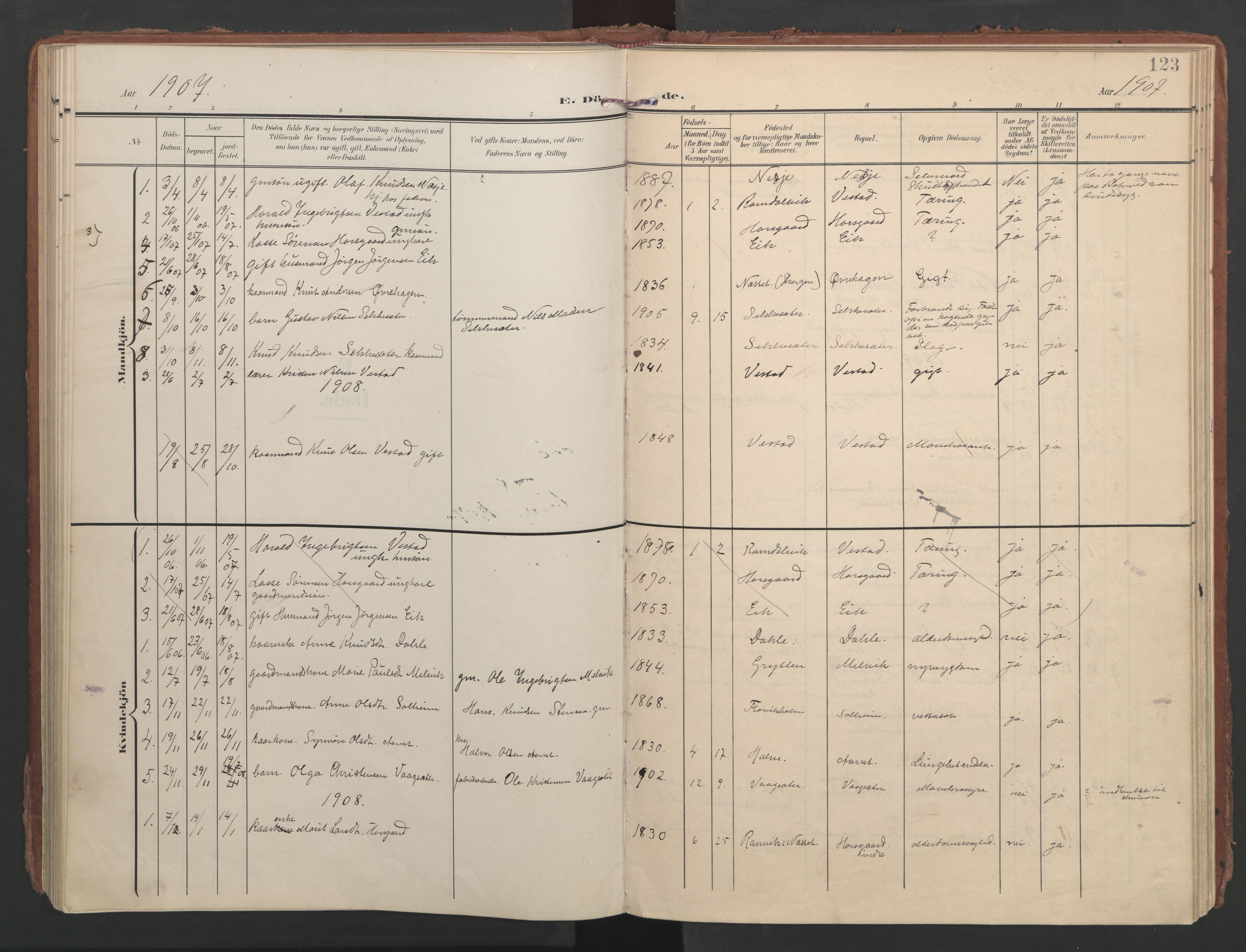 Ministerialprotokoller, klokkerbøker og fødselsregistre - Møre og Romsdal, AV/SAT-A-1454/547/L0605: Parish register (official) no. 547A07, 1907-1936, p. 123