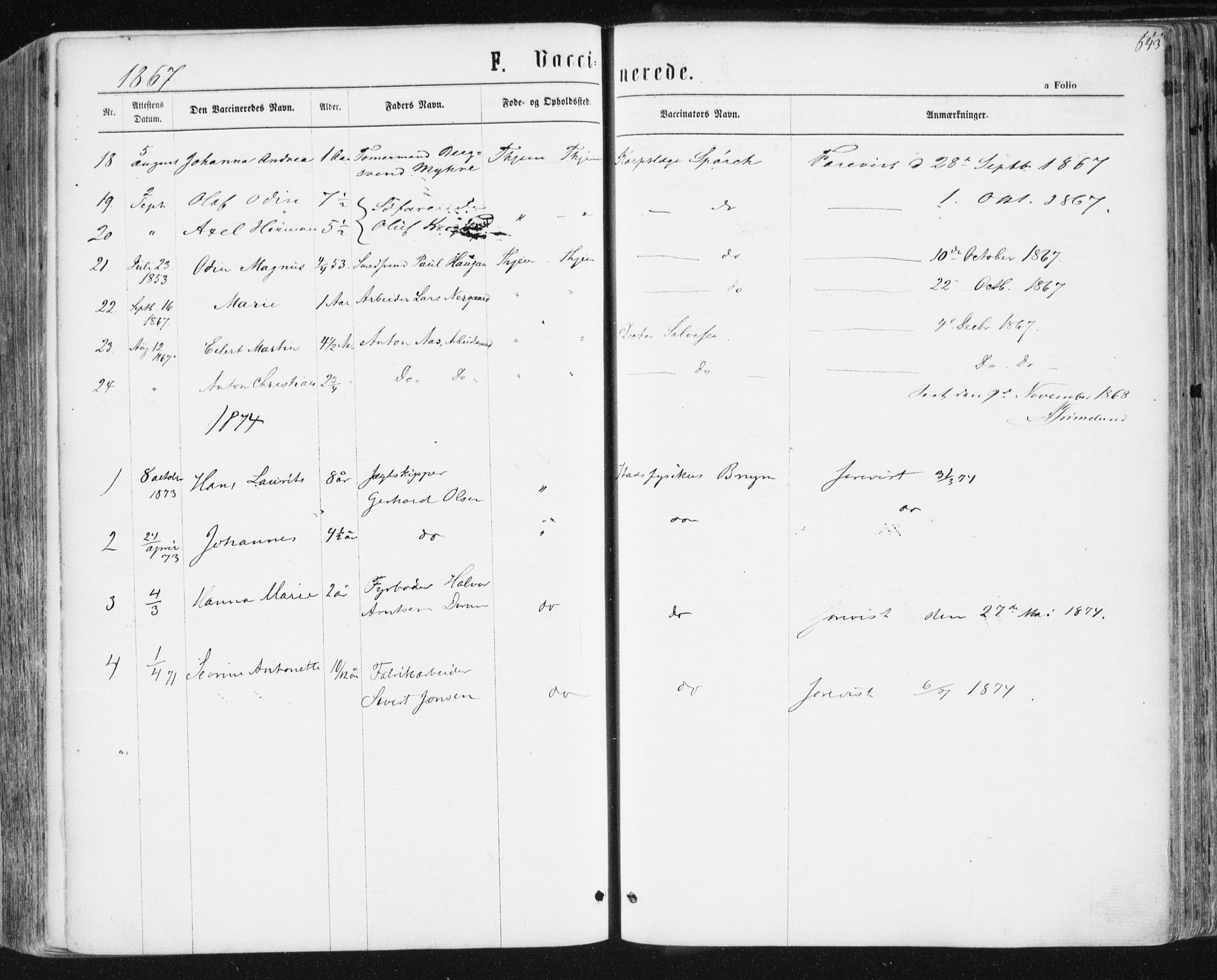 Ministerialprotokoller, klokkerbøker og fødselsregistre - Sør-Trøndelag, SAT/A-1456/604/L0186: Parish register (official) no. 604A07, 1866-1877, p. 643