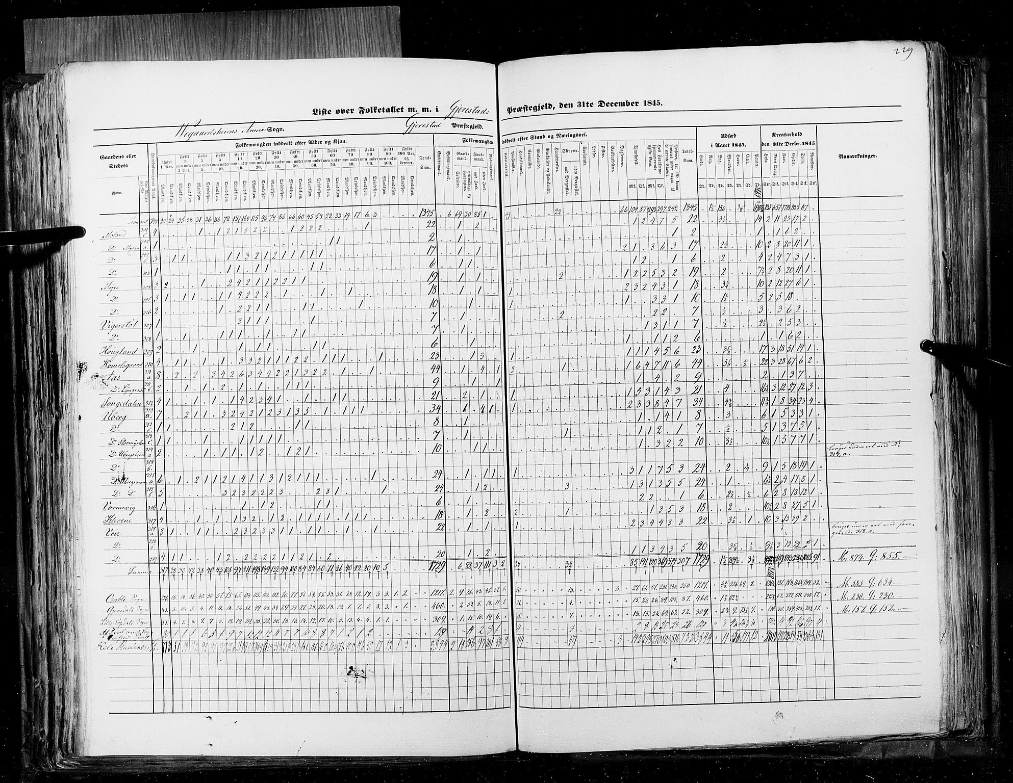 RA, Census 1845, vol. 5: Bratsberg amt og Nedenes og Råbyggelaget amt, 1845, p. 229