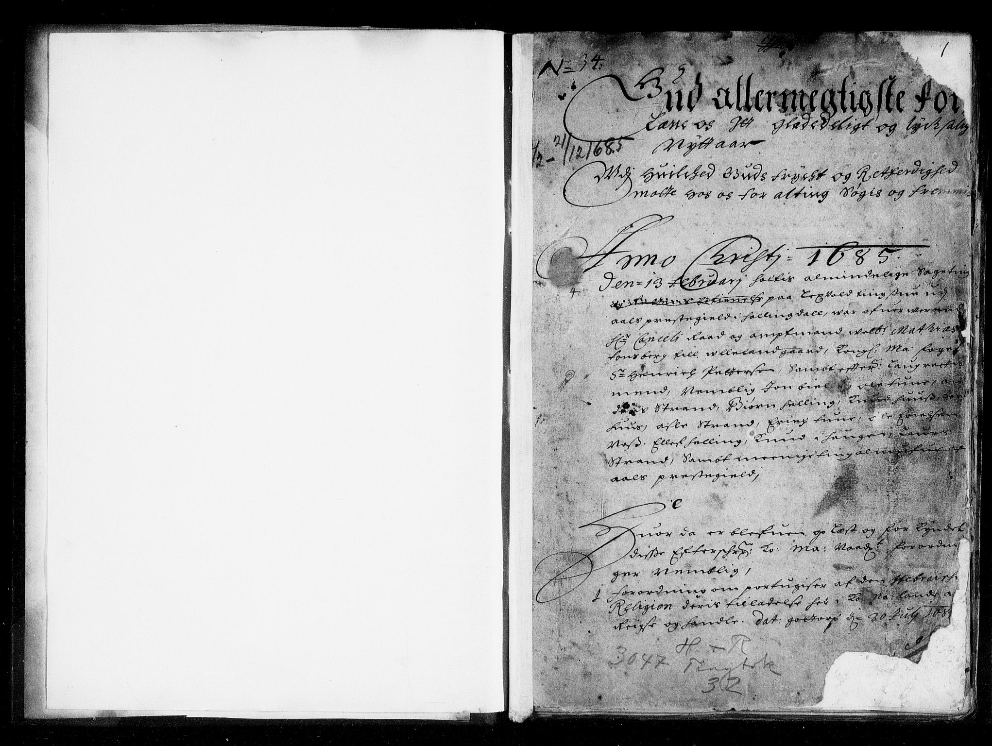 Ringerike og Hallingdal sorenskriveri, SAKO/A-81/F/Fa/Fab/L0013: Tingbok - Sorenskriveriet, 1685, p. 1