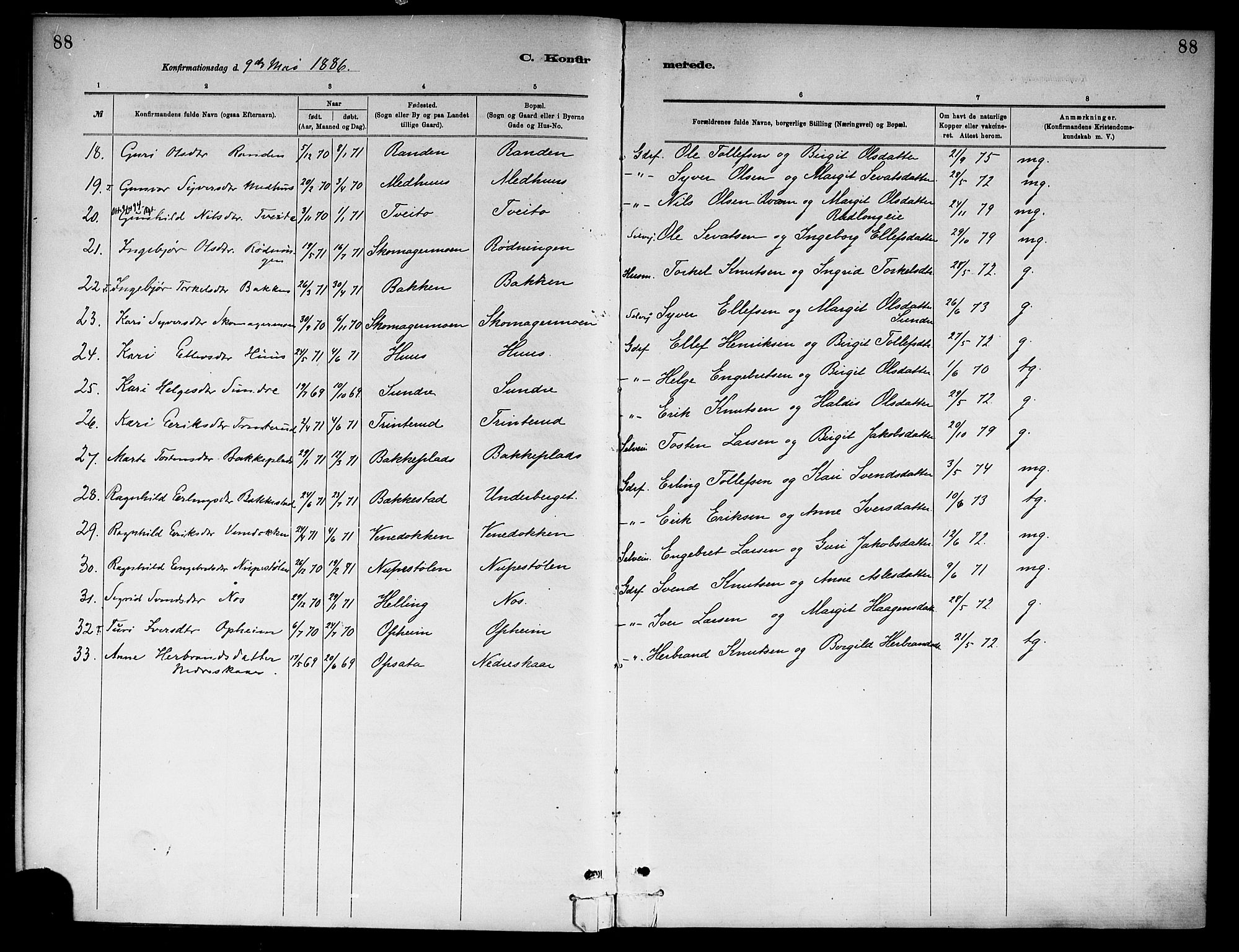 Ål kirkebøker, SAKO/A-249/F/Fa/L0008: Parish register (official) no. I 8, 1882-1896, p. 88
