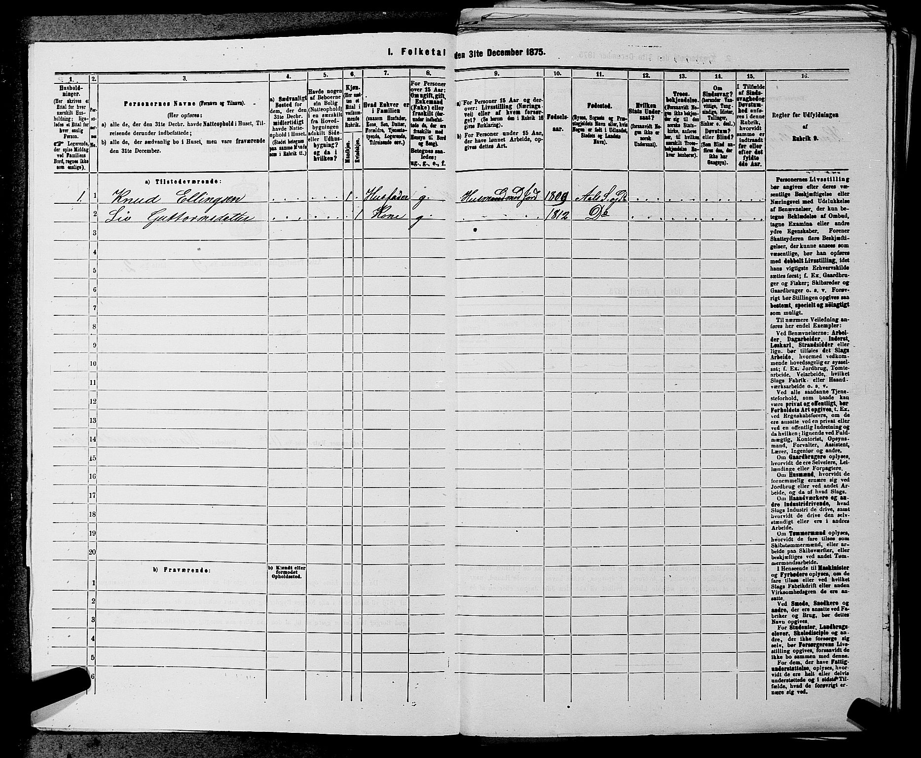 SAKO, 1875 census for 0619P Ål, 1875, p. 1094