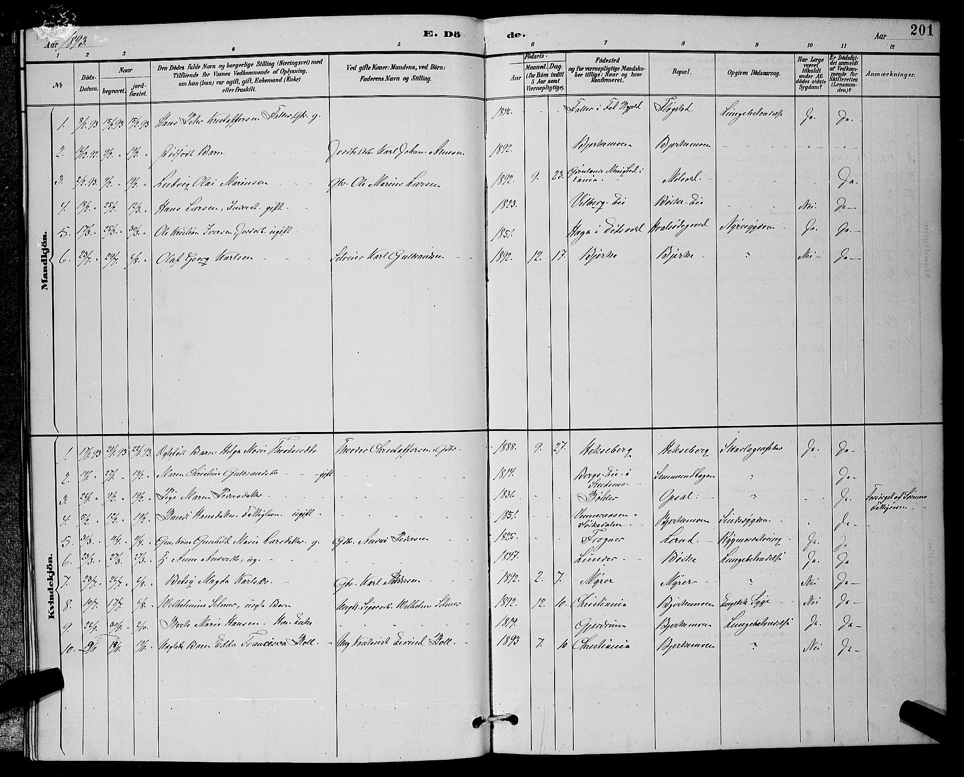 Sørum prestekontor Kirkebøker, SAO/A-10303/G/Ga/L0005: Parish register (copy) no. I 5.2, 1886-1894, p. 201