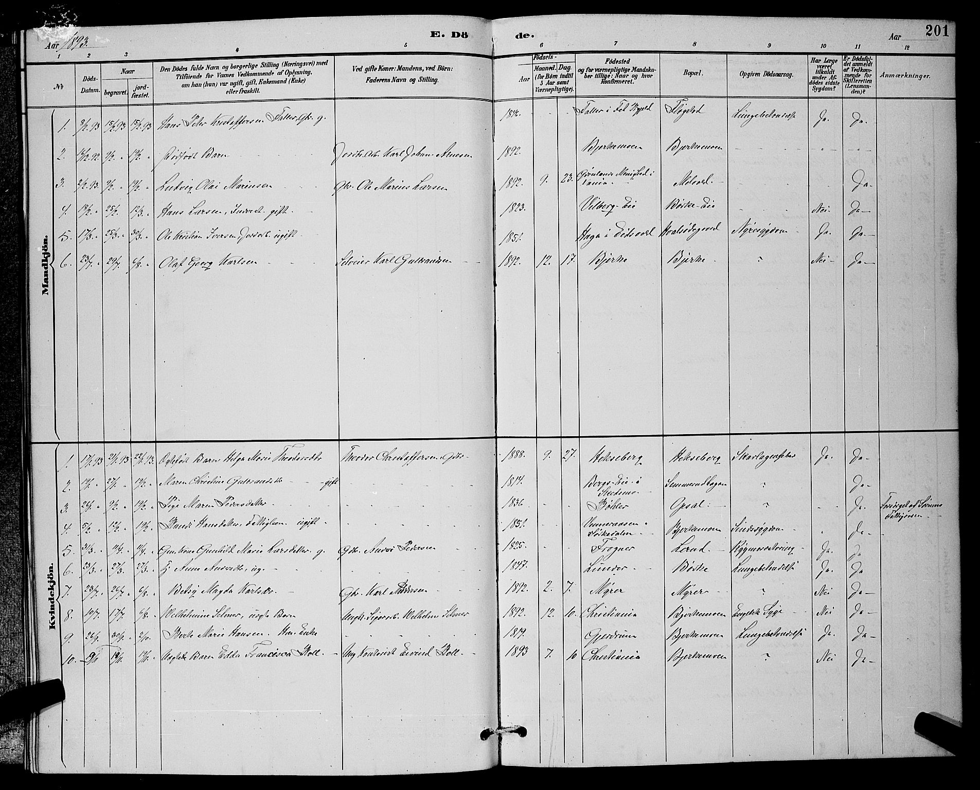 Sørum prestekontor Kirkebøker, AV/SAO-A-10303/G/Ga/L0005: Parish register (copy) no. I 5.2, 1886-1894, p. 201