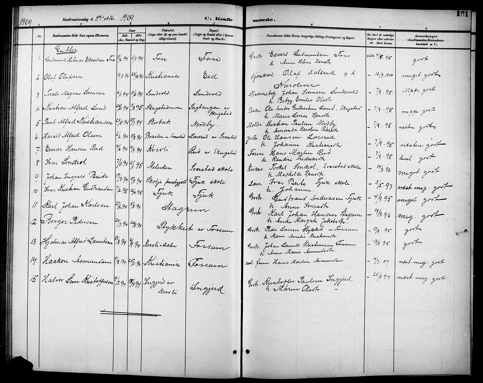Aurskog prestekontor Kirkebøker, SAO/A-10304a/G/Gb/L0002: Parish register (copy) no. II 2, 1901-1926, p. 101
