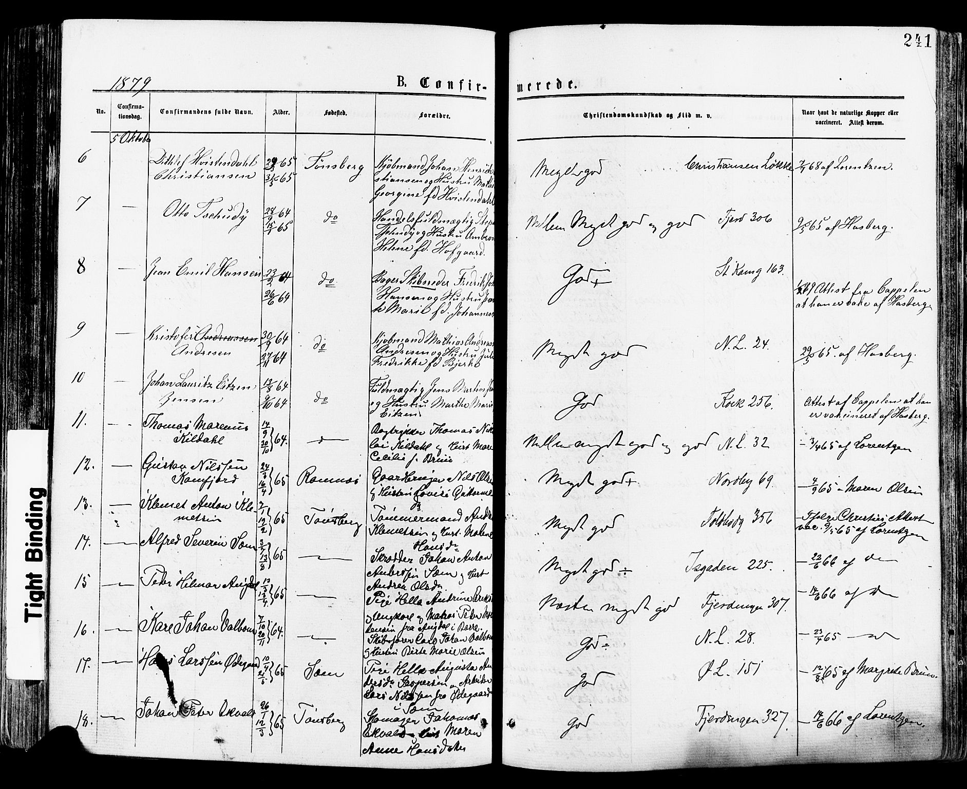 Tønsberg kirkebøker, AV/SAKO-A-330/F/Fa/L0010: Parish register (official) no. I 10, 1874-1880, p. 241