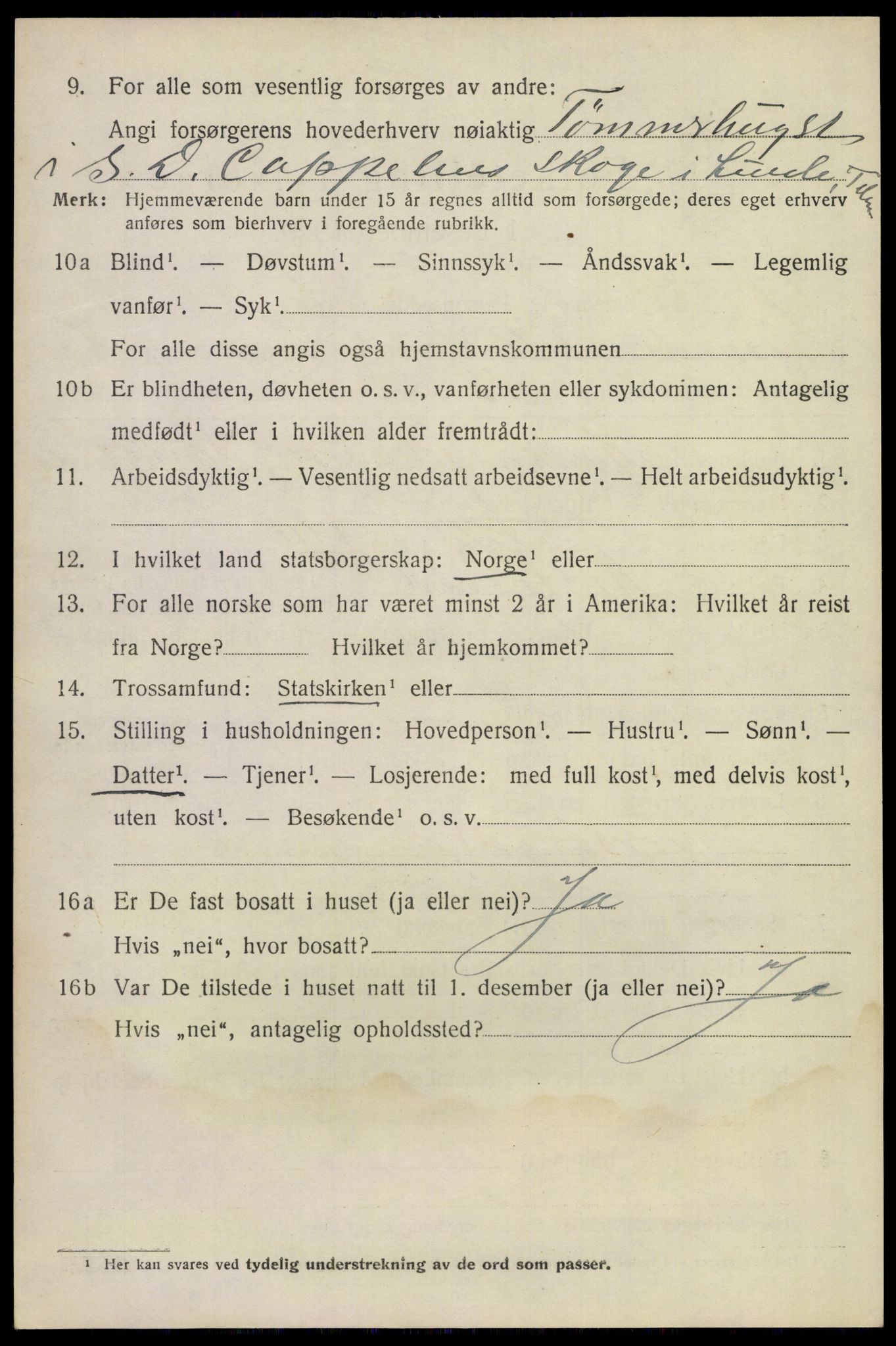 SAKO, 1920 census for Lunde, 1920, p. 5424