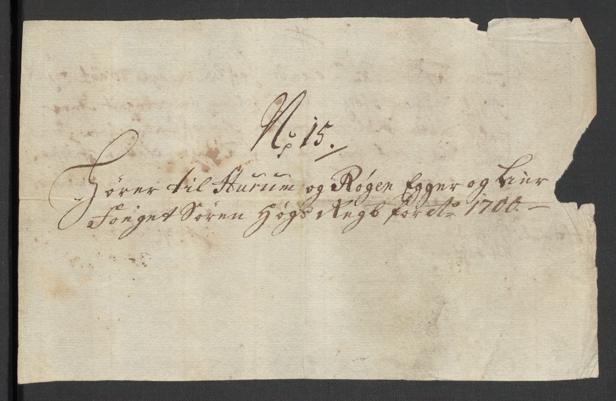 Rentekammeret inntil 1814, Reviderte regnskaper, Fogderegnskap, AV/RA-EA-4092/R30/L1697: Fogderegnskap Hurum, Røyken, Eiker og Lier, 1700-1701, p. 220