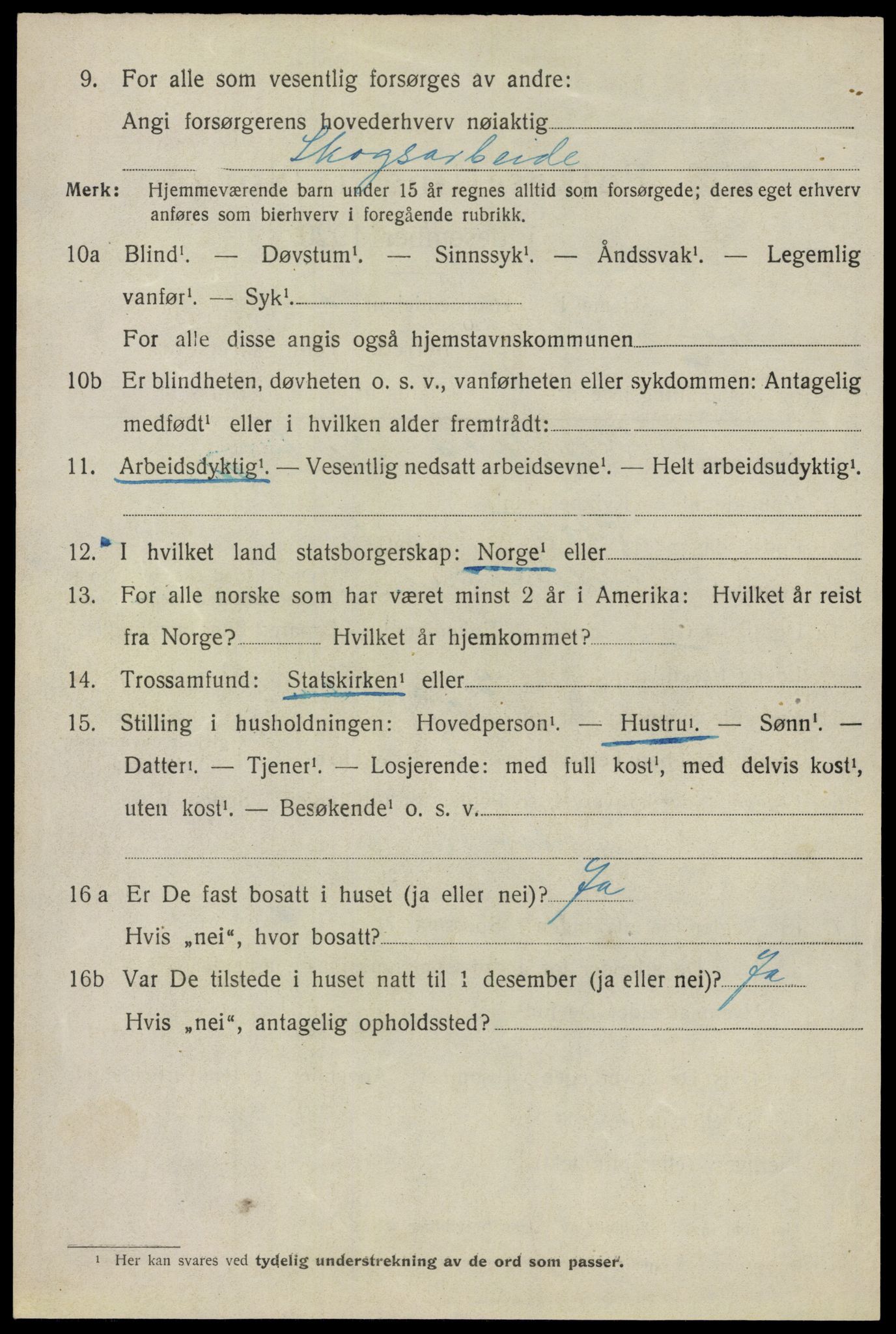 SAO, 1920 census for Nes, 1920, p. 9915