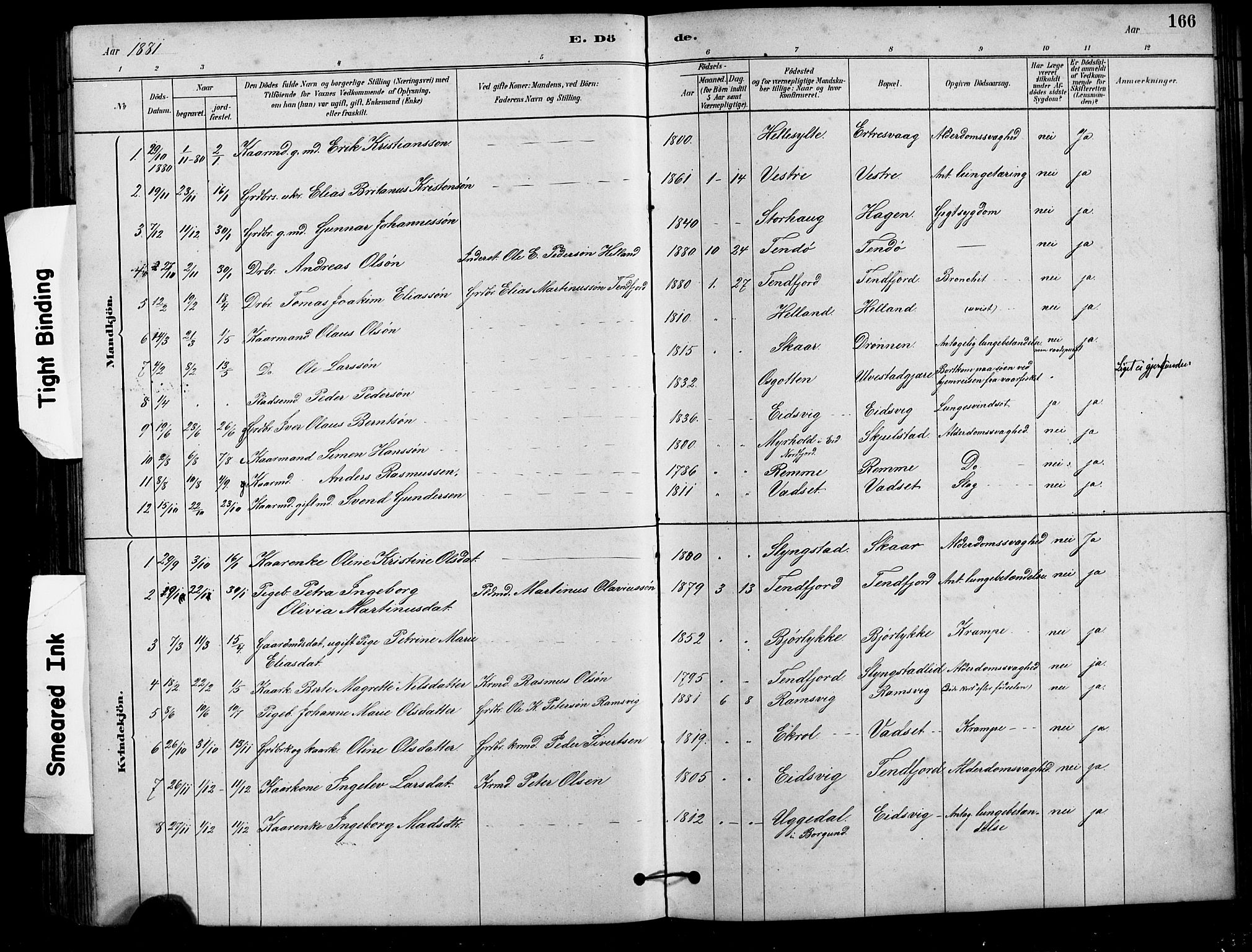 Ministerialprotokoller, klokkerbøker og fødselsregistre - Møre og Romsdal, AV/SAT-A-1454/525/L0376: Parish register (copy) no. 525C02, 1880-1902, p. 166