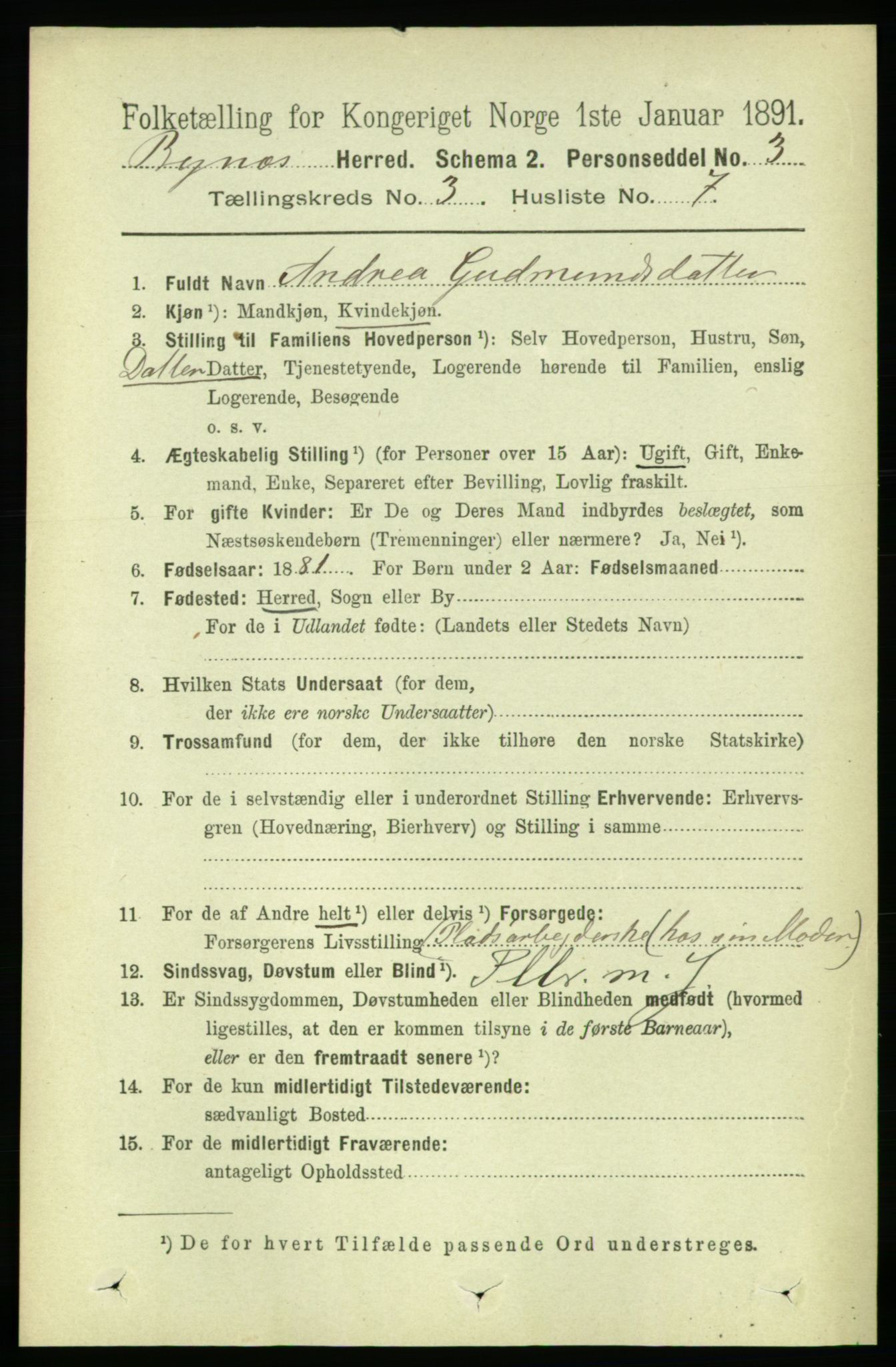 RA, 1891 census for 1655 Byneset, 1891, p. 1324