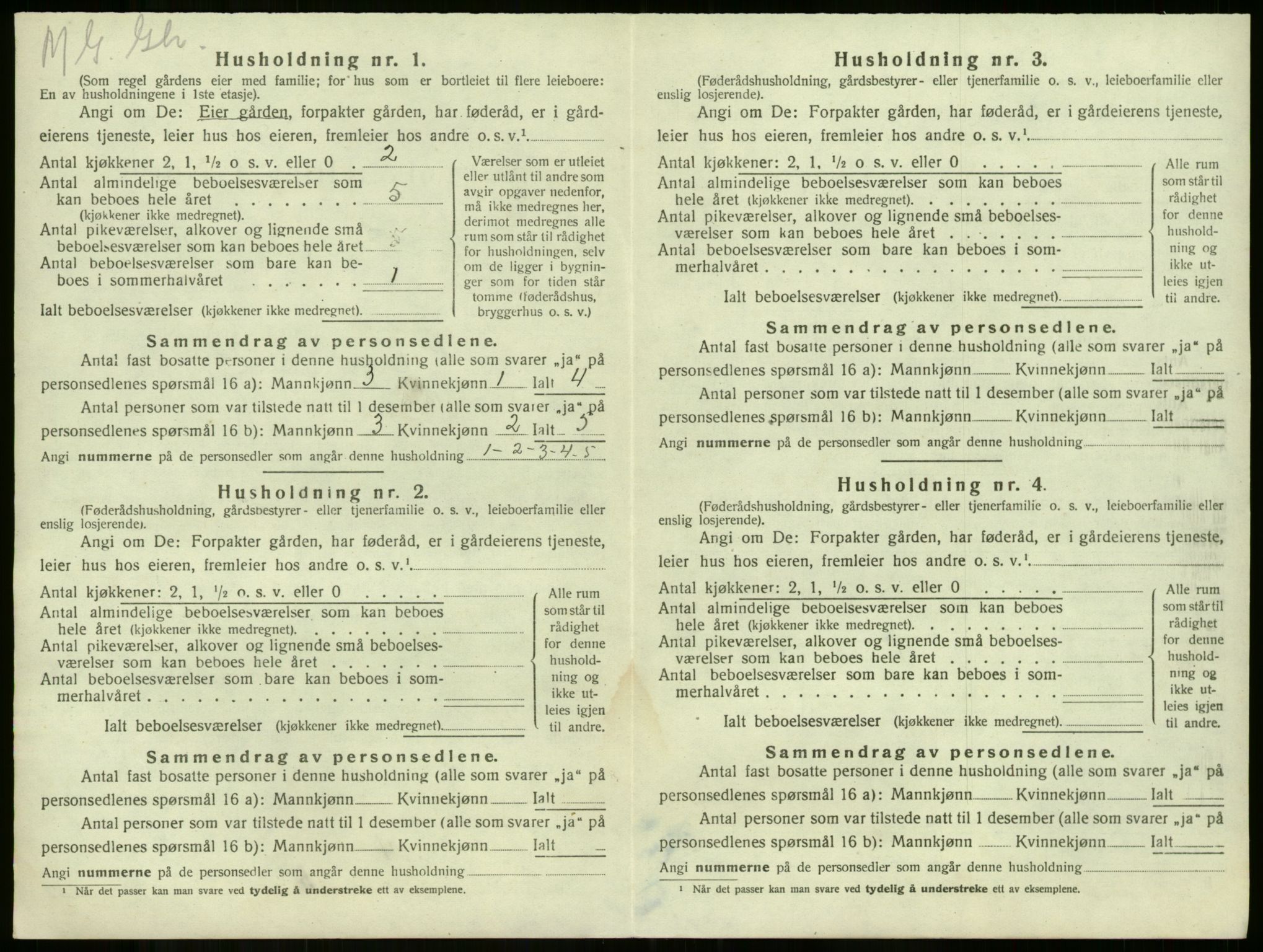 SAKO, 1920 census for Våle, 1920, p. 1005