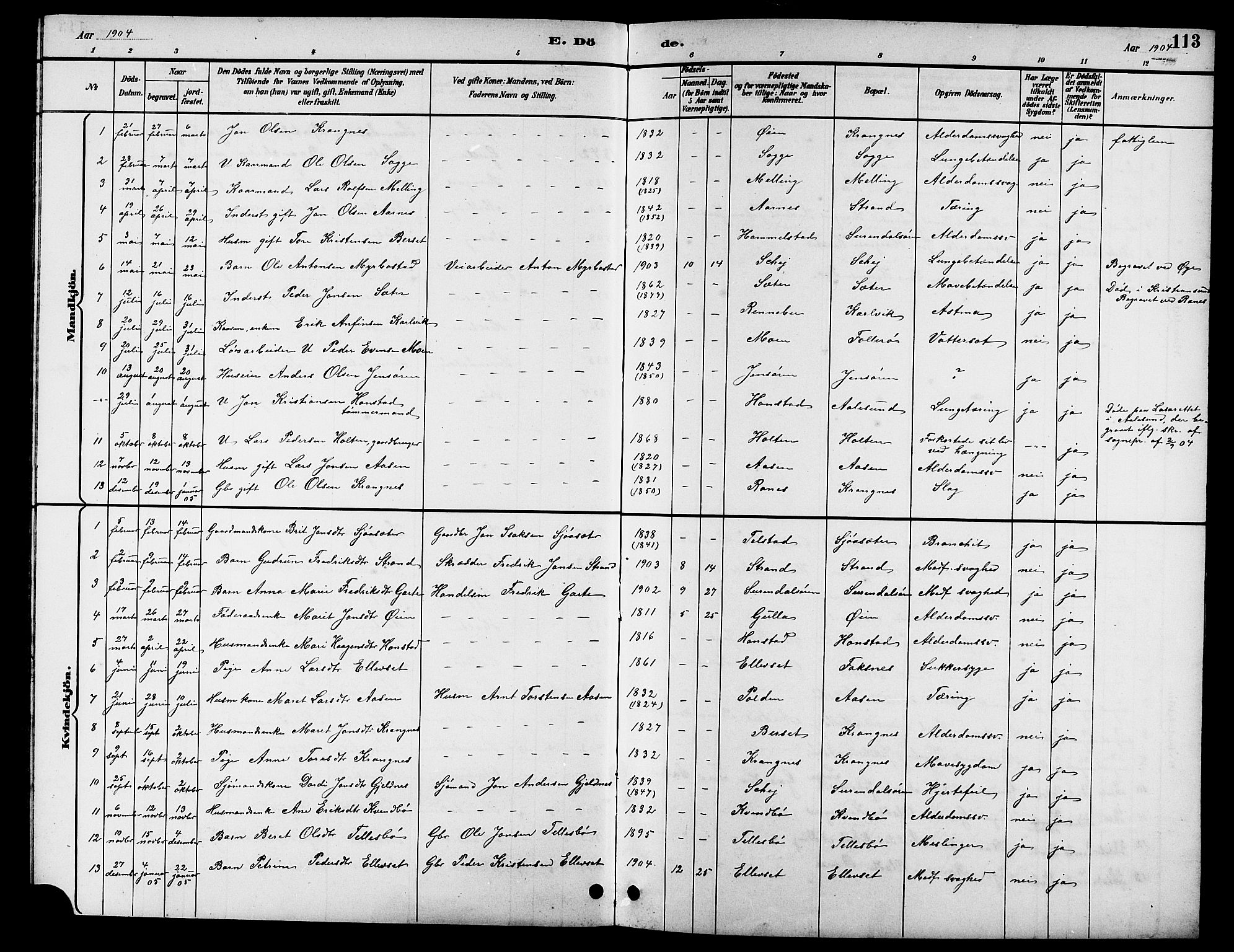 Ministerialprotokoller, klokkerbøker og fødselsregistre - Møre og Romsdal, AV/SAT-A-1454/596/L1058: Parish register (copy) no. 596C01, 1891-1907, p. 113